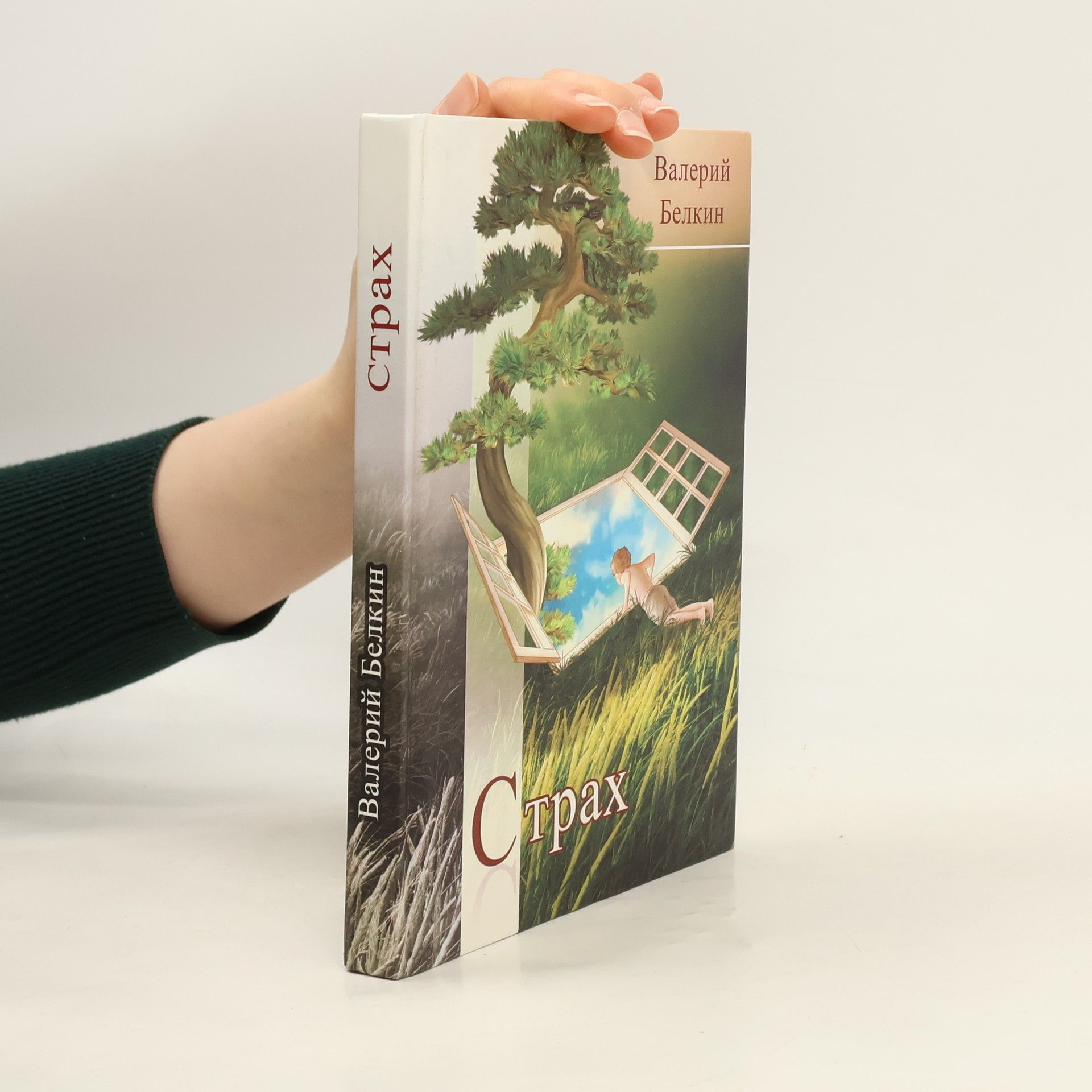 Валерий Белкин Страх