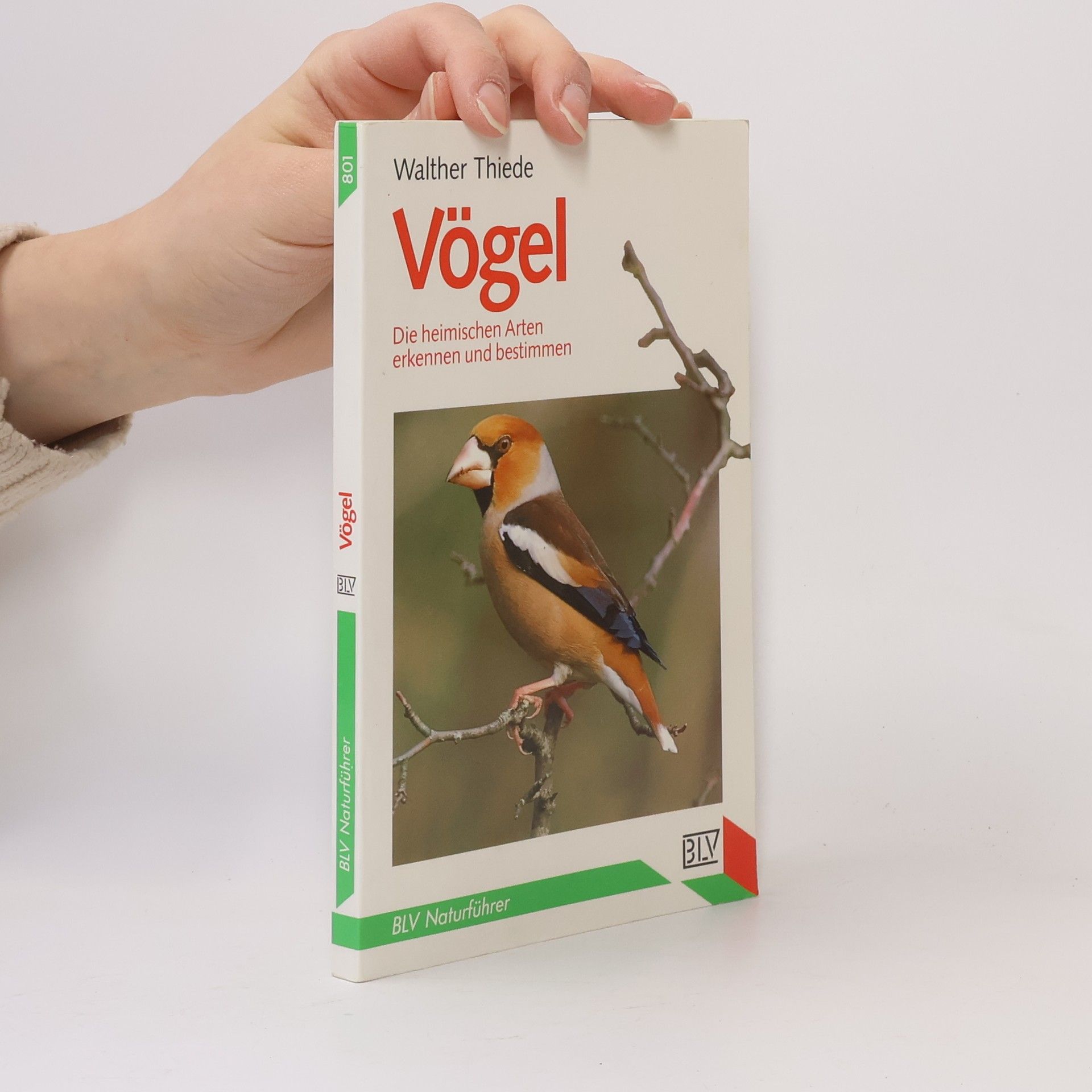 Walther Thiede Vögel