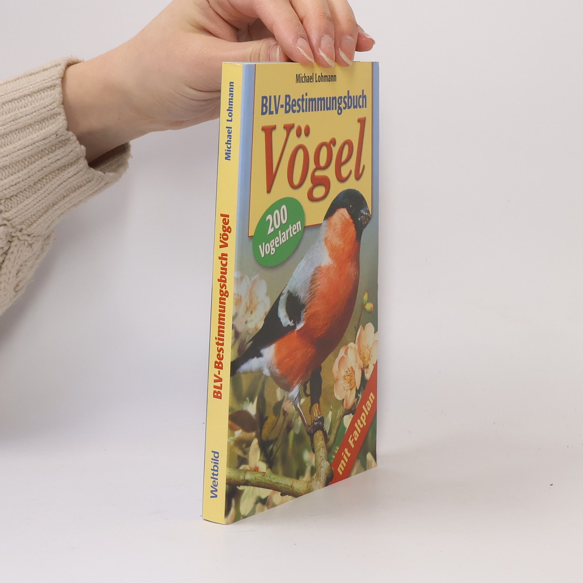 Michael Lohmann BLV-Bestimmungsbuch Vögel