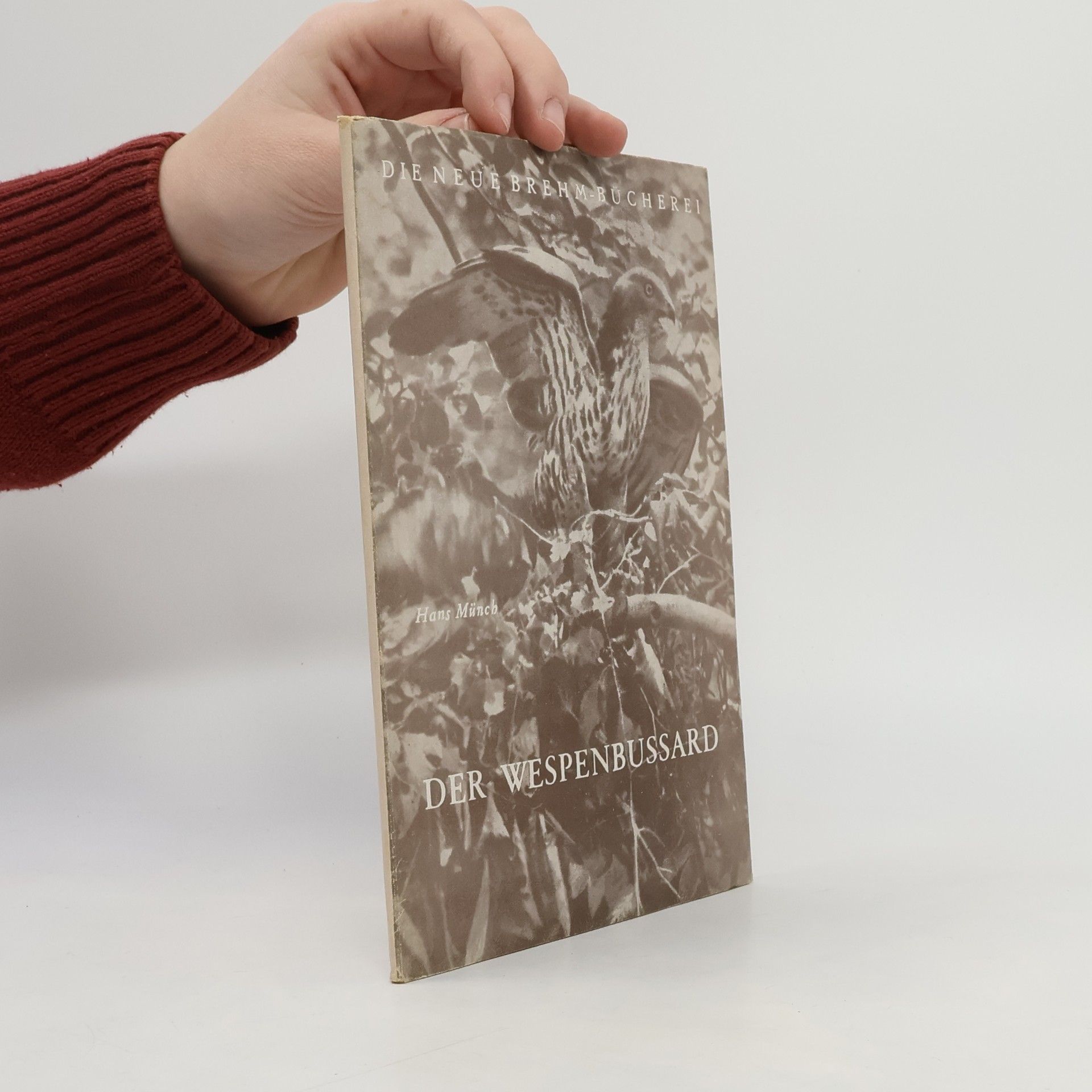 Die Neue Brehm-Bücherei. Der Wespenbussard