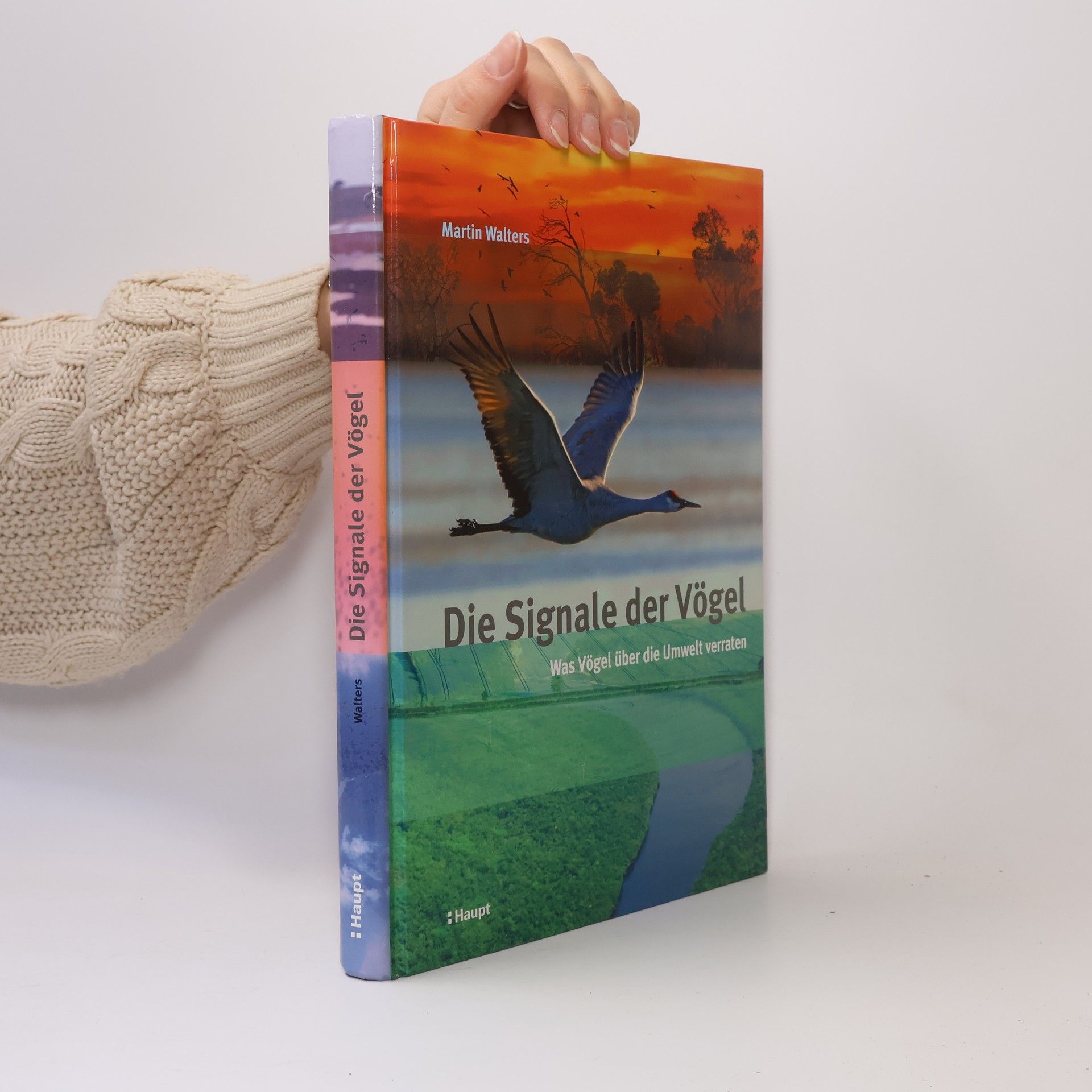 Martin Walters Die Signale der Vögel