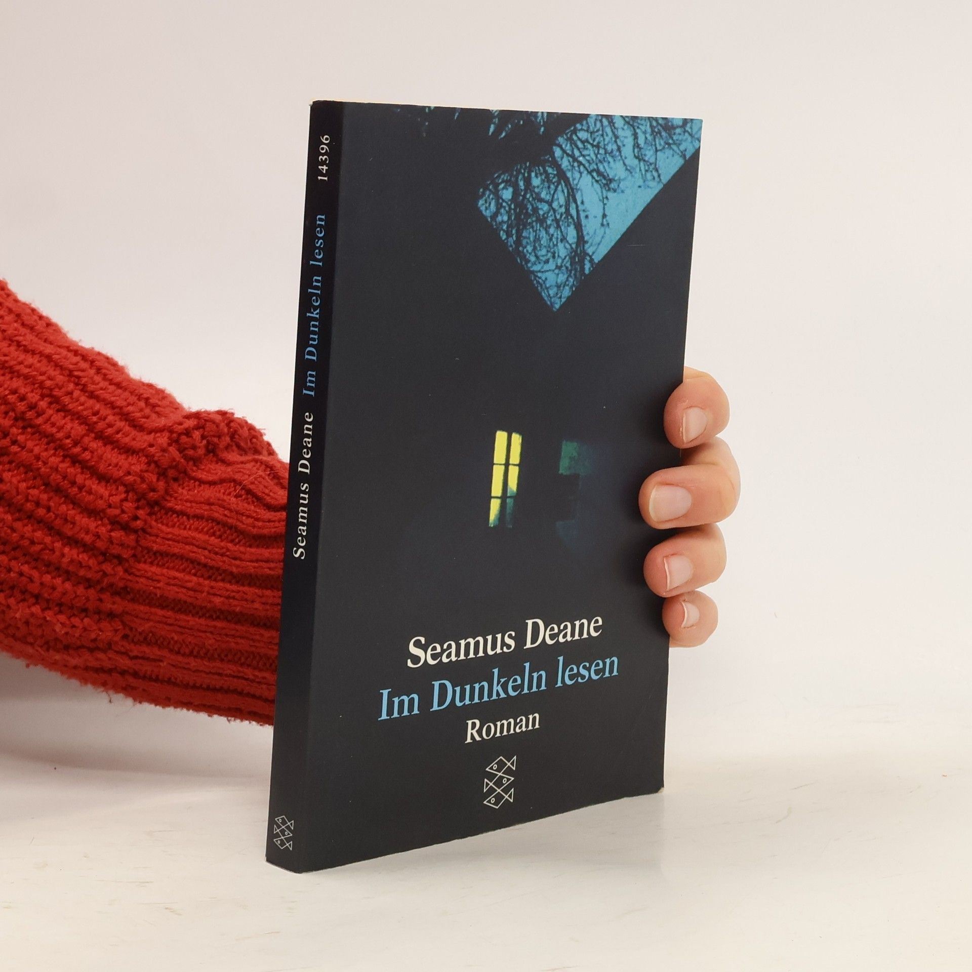 Seamus Deane Im Dunkeln lesen