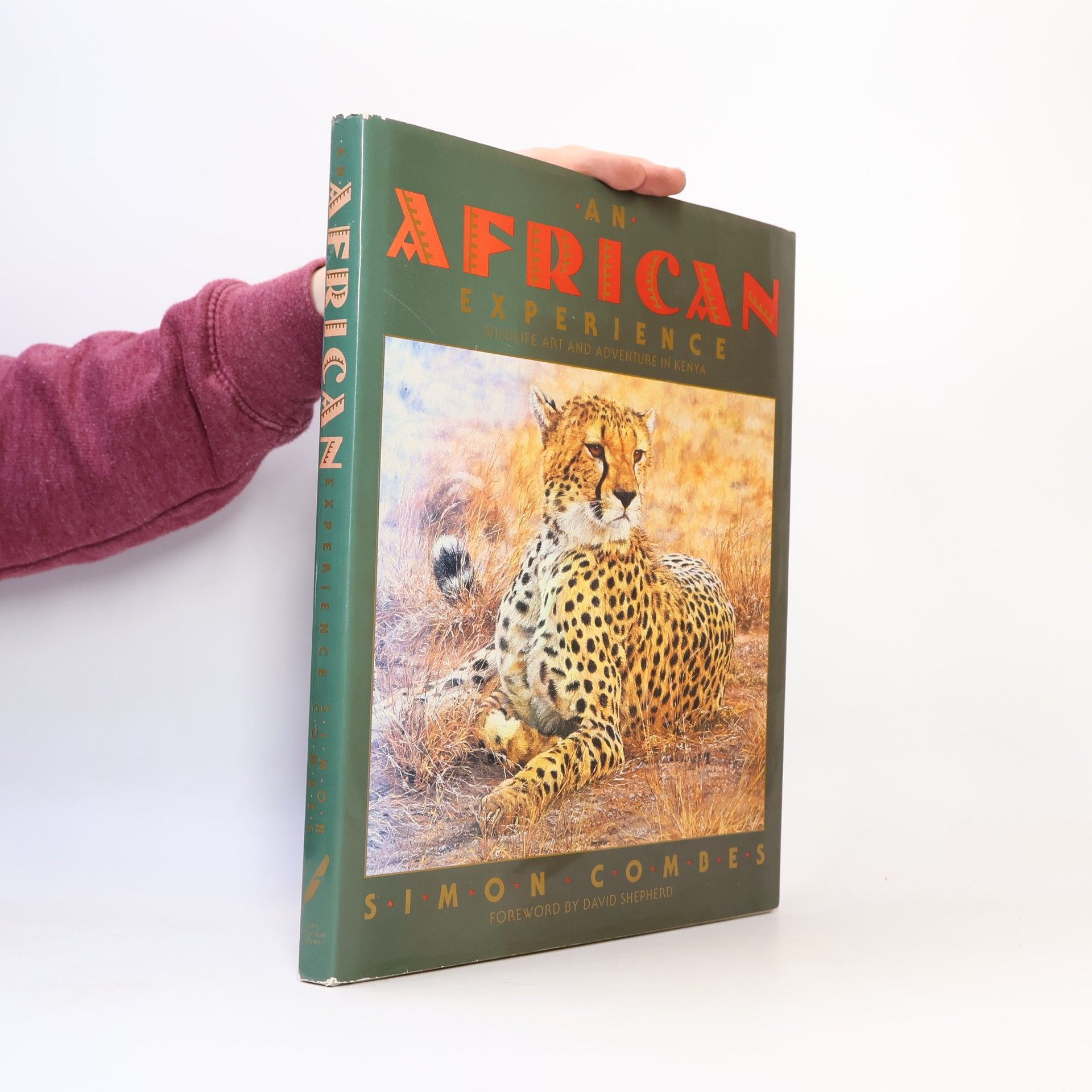 Simon Combes An African Experience