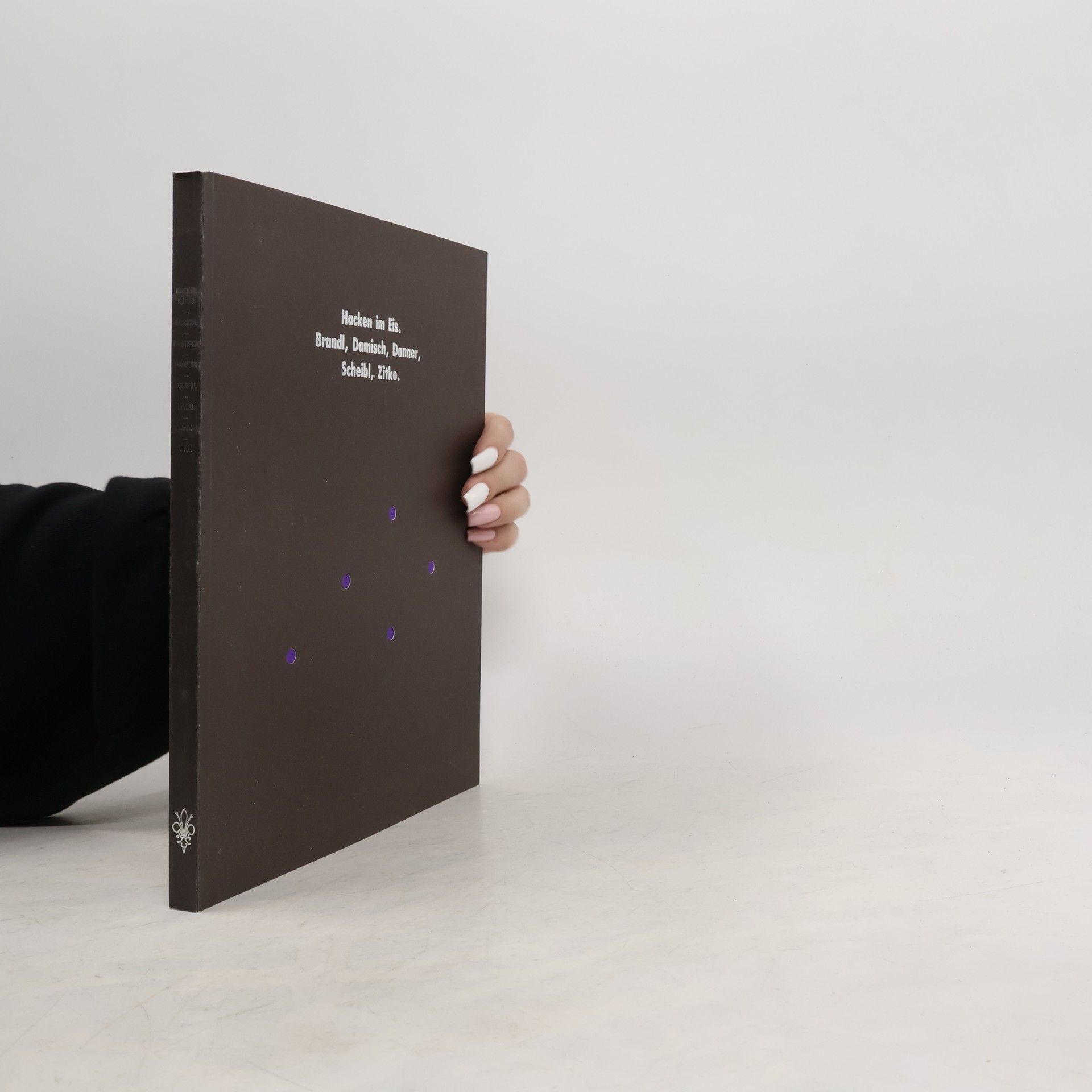 Autorenkollektiv Hacken im Eis. Herbert Brandl, Gunter Damisch, Josef Danner, Hubert Scheibl, Otto Zitko