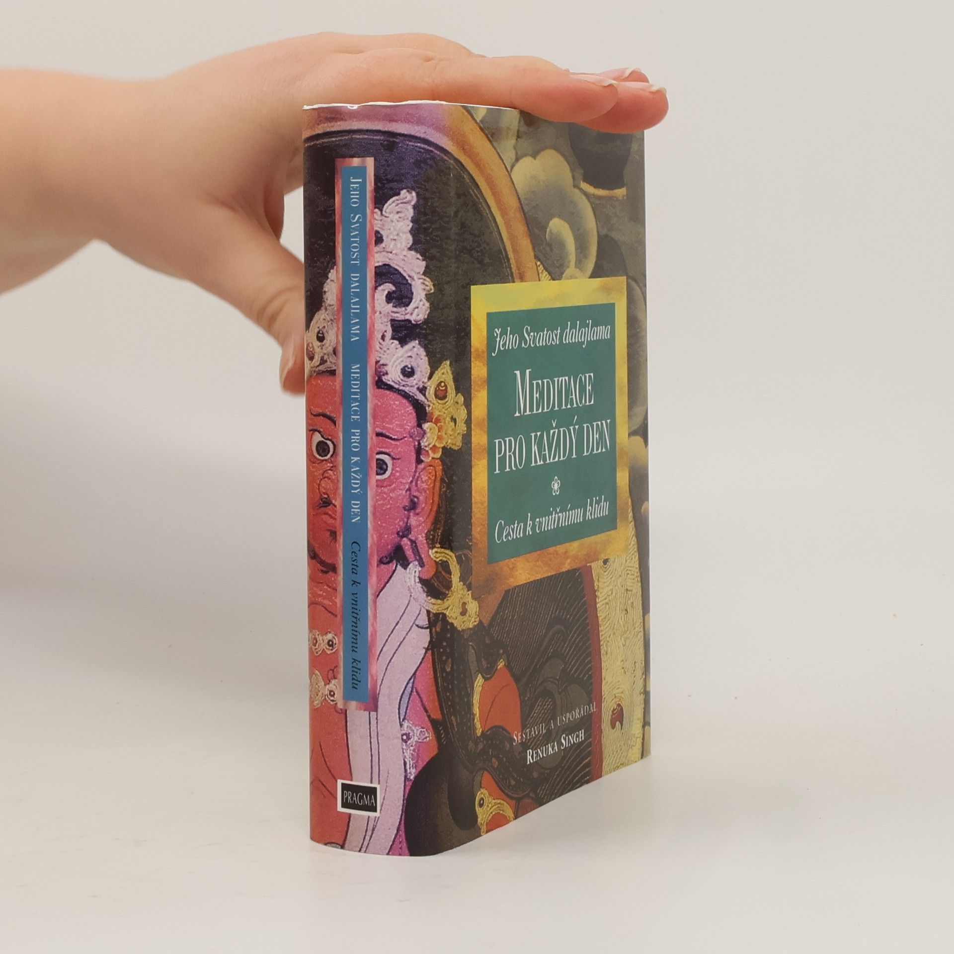 Renuka Singh Meditace pro každý den. cesta k vnitřnímu klidu