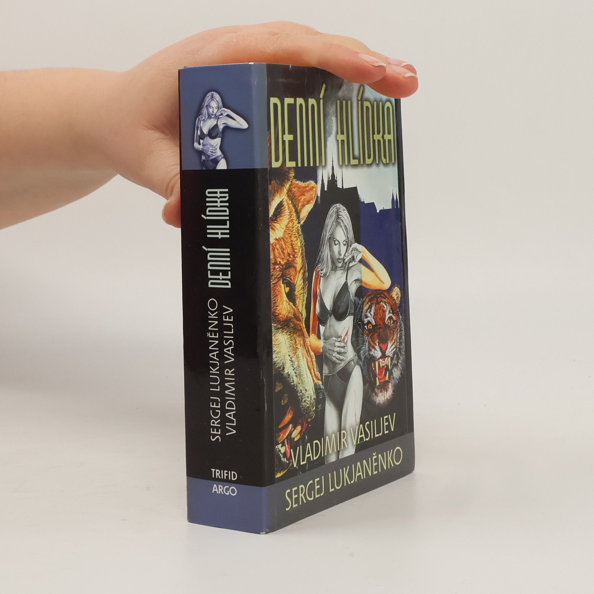 Sergej Vasiljevič Lukjaněnko Denní hlídka