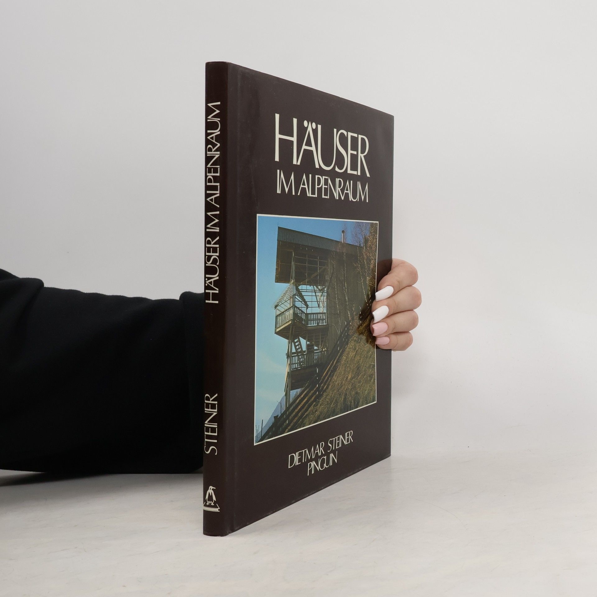 Dietmar Steiner Häuser im Alpenraum