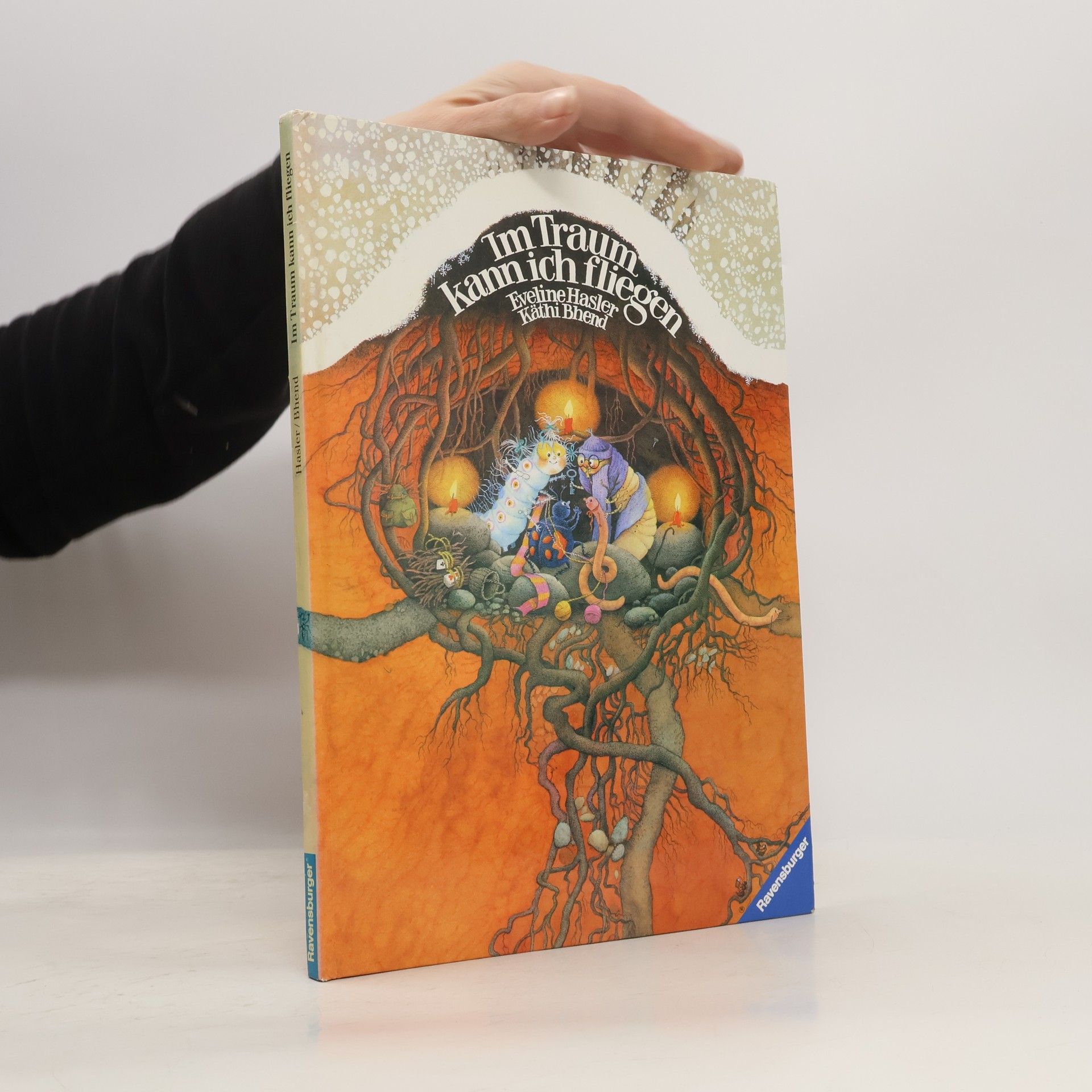 Eveline Hasler Im Traum kann ich fliegen