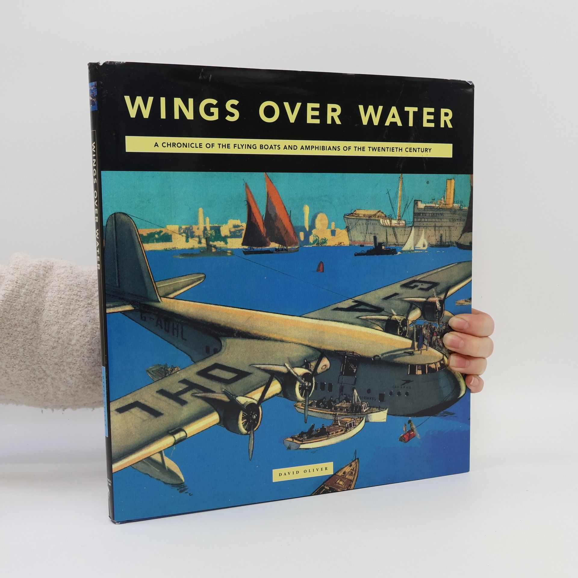 David Oliver Wings Over Water