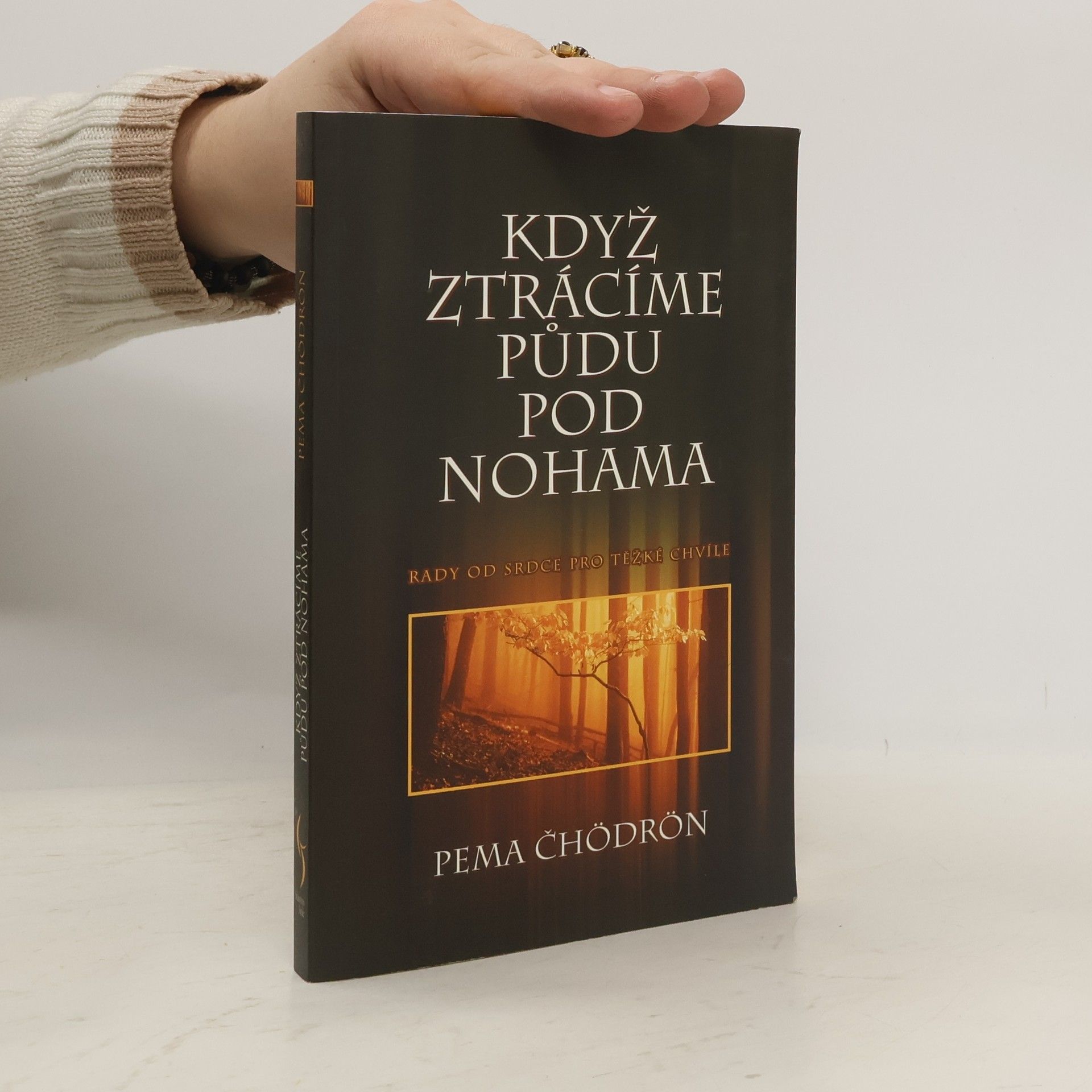 Pema Chödrön Když ztrácíme půdu pod nohama