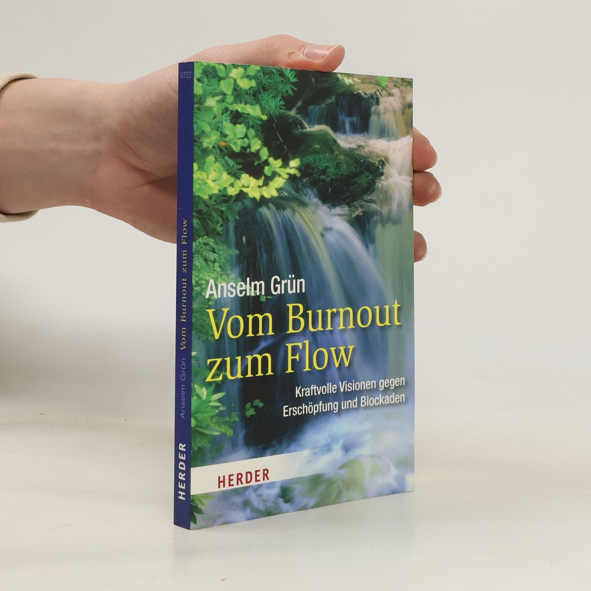 Anselm Grün HERDER Spektrum: Vom Burnout zum Flow