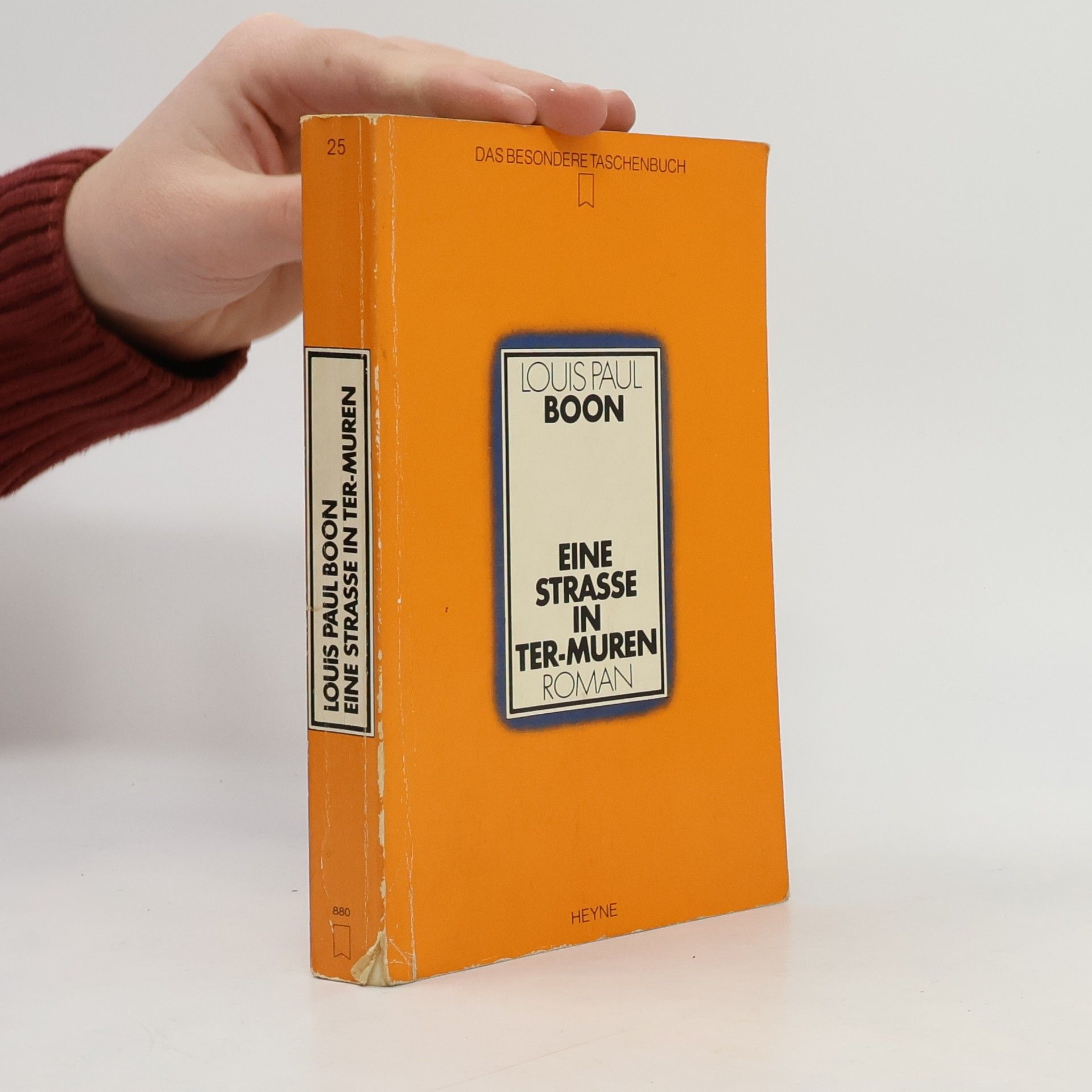 Louis Paul Boon Eine Strasse in Ter-Muren