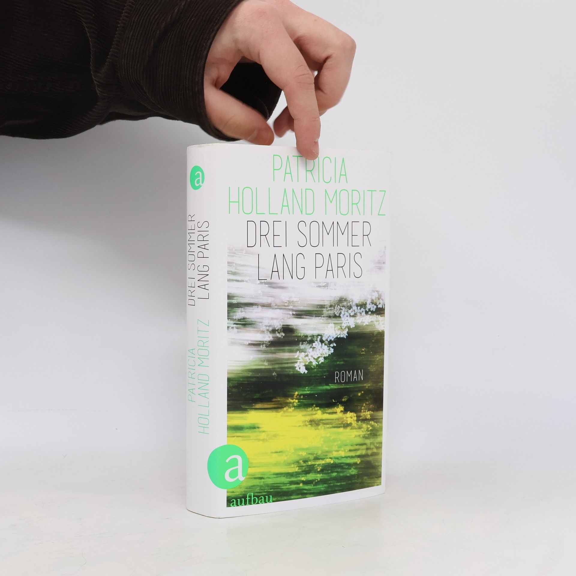 Patricia Holland Moritz Drei Sommer lang Paris