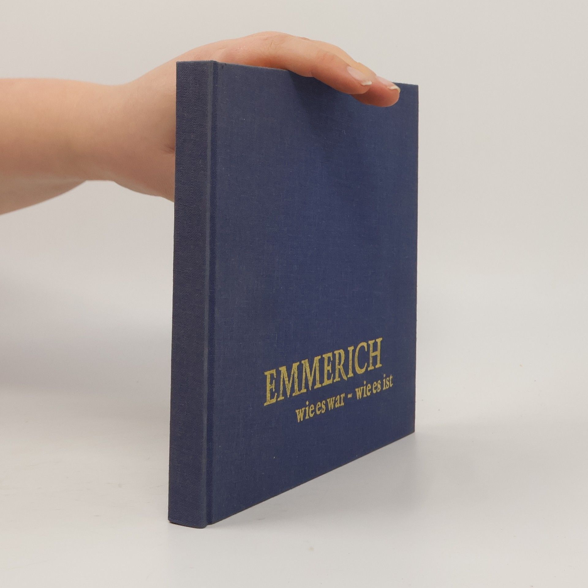 Kolektiv autorů Emmerich. Wie es war, wie es ist