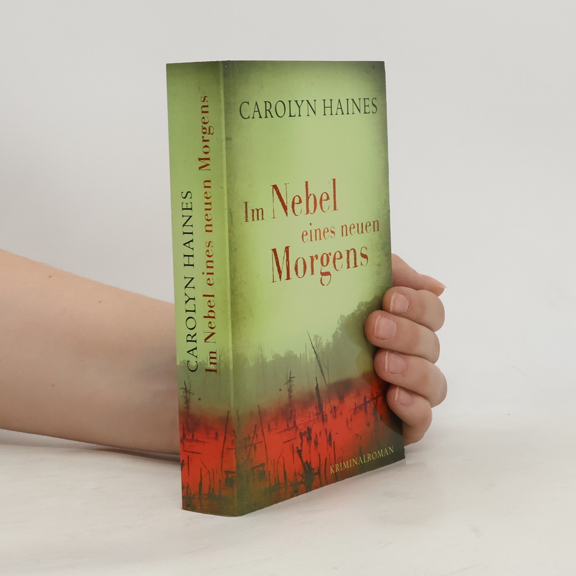Carolyn Haines Im Nebel eines neuen Morgens