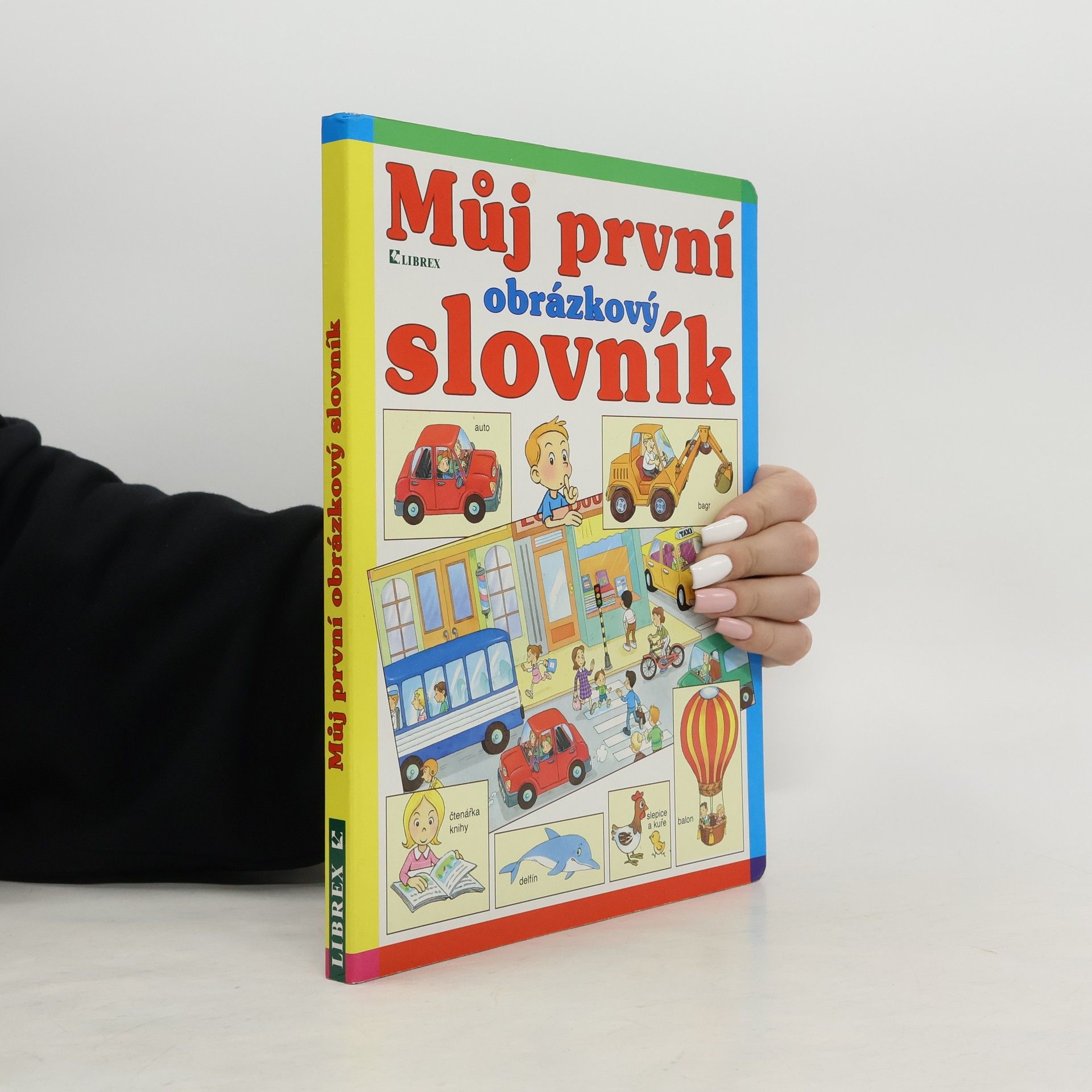 Autorenkollektiv Můj první obrázkový slovník