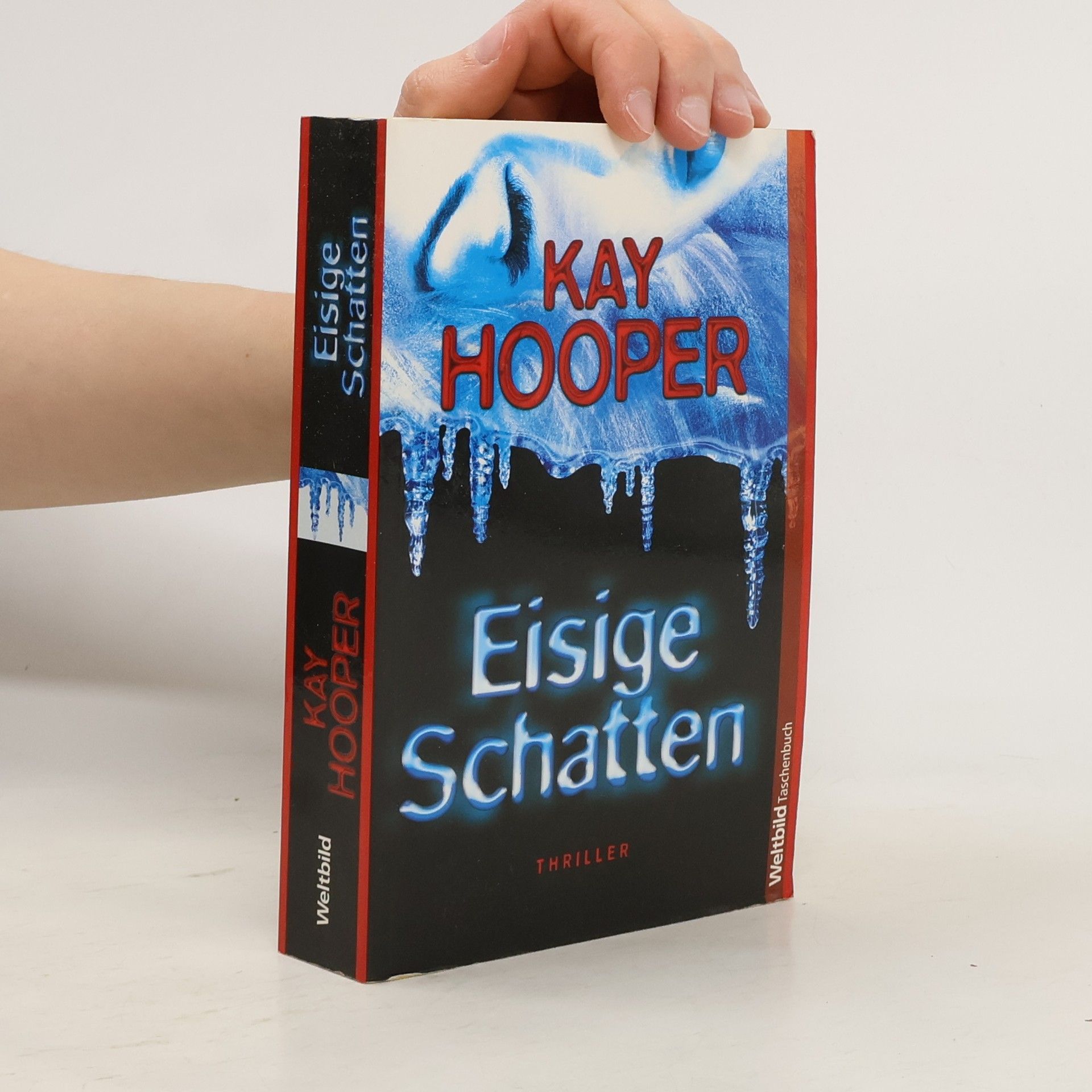 Kay Hooper Eisige Schatten