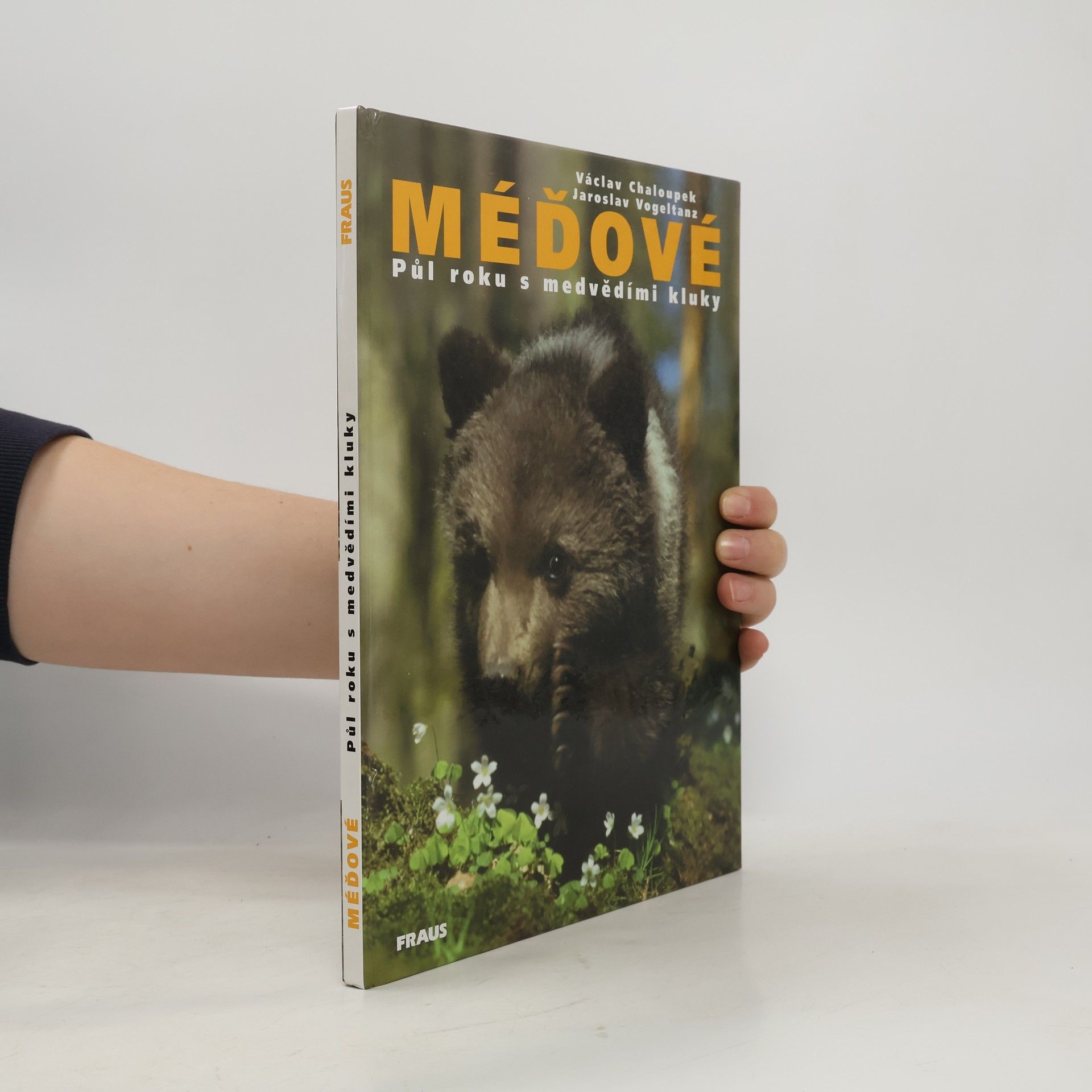 Václav Chaloupek Méďové. Půl roku s medvědími kluky