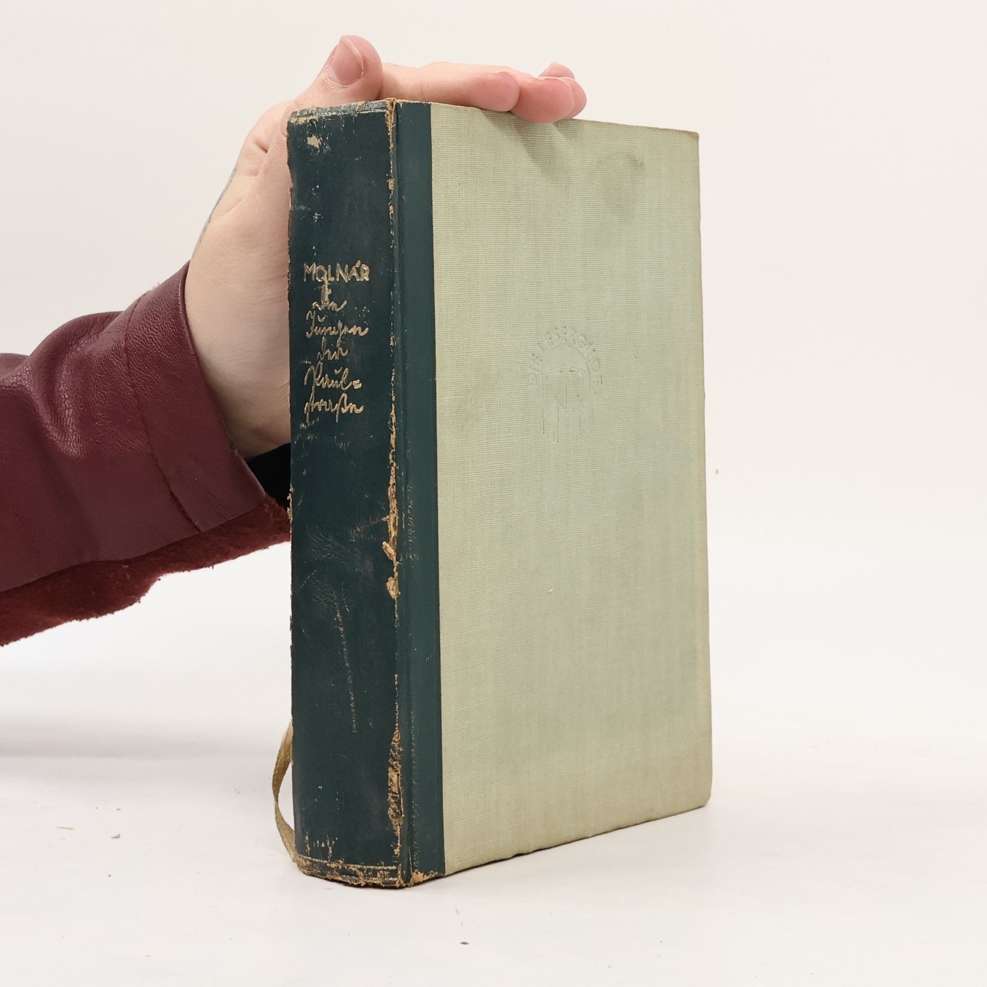 Die Jungen der Paulstraße