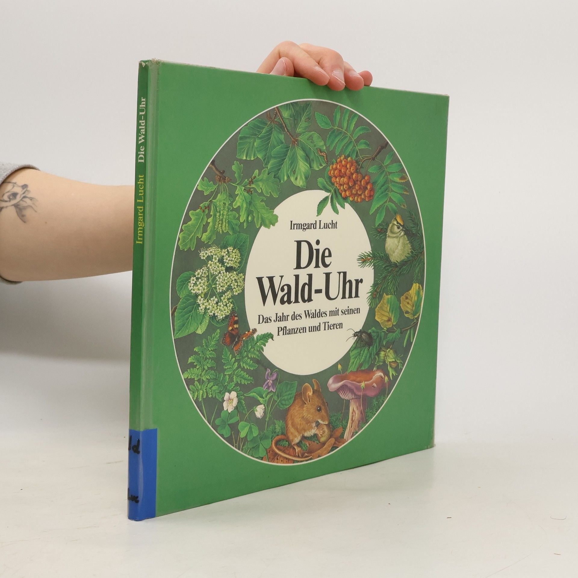 Irmgard Lucht Die Wald-Uhr