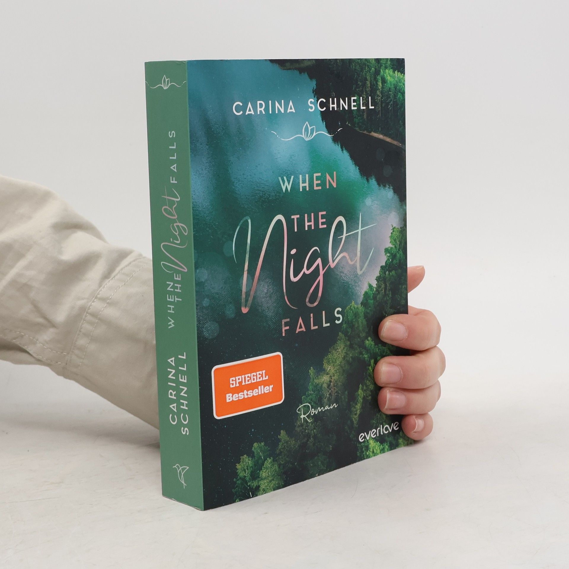 Carina Schnell When the Night Falls