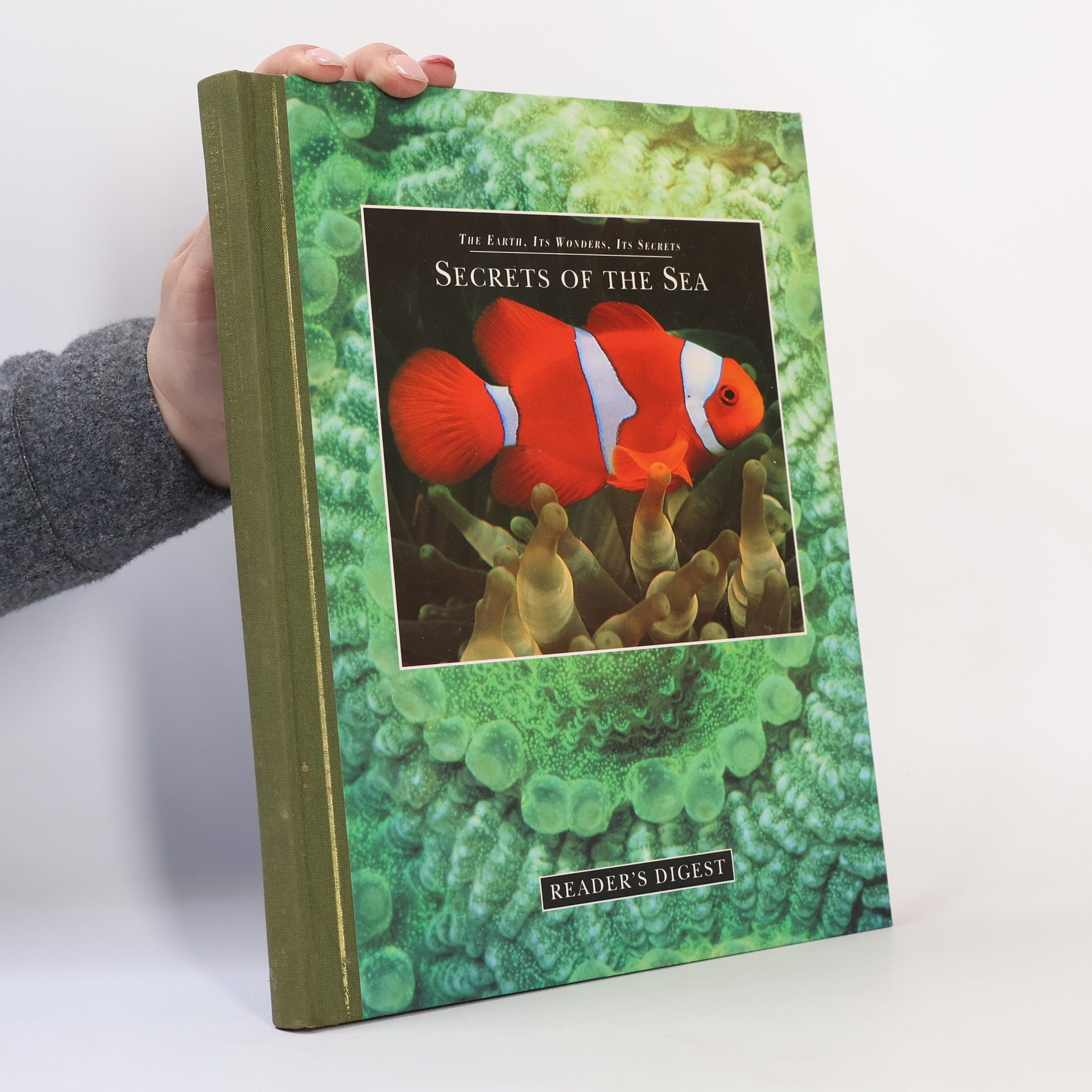 Linda Gamlin Secrets of the Sea