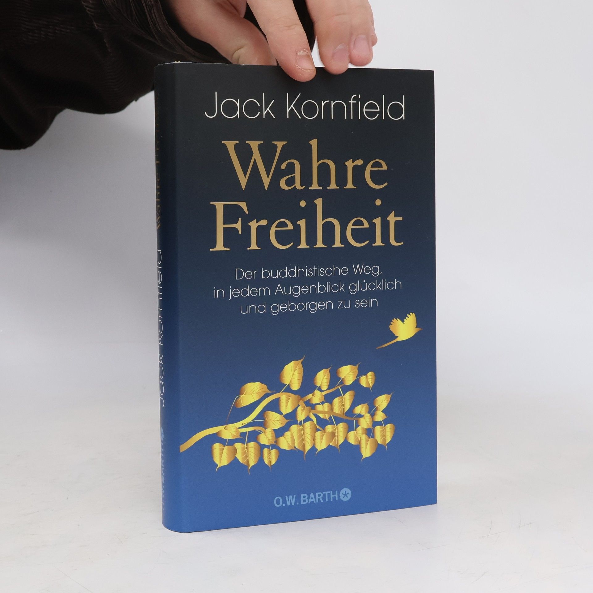 Jack Kornfield Wahre Freiheit