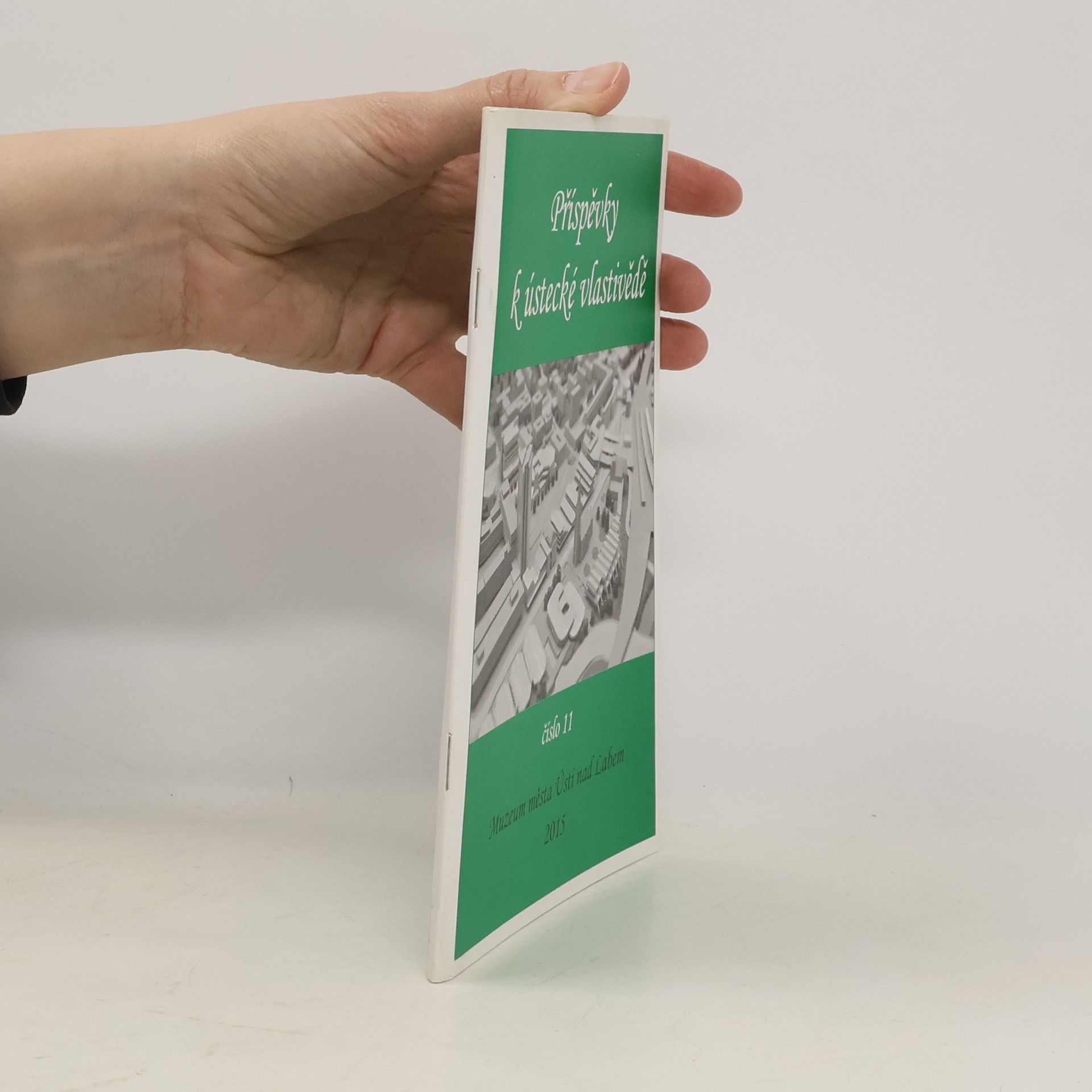 Autorenkollektiv Příspěvky k ústecké vlastivědě 11