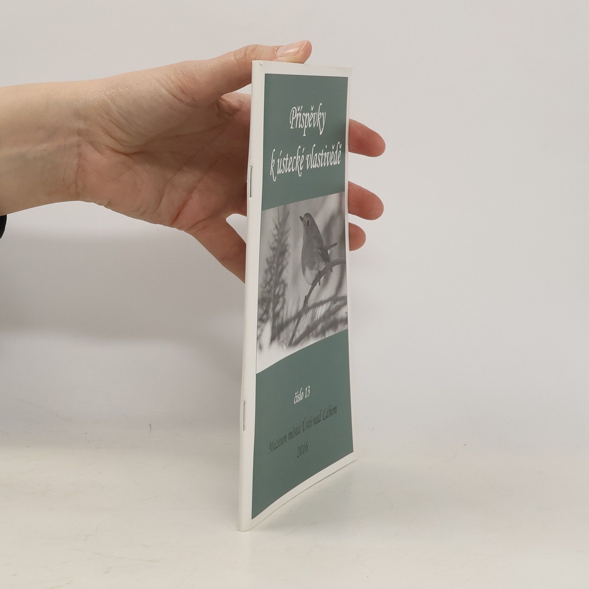 Collectif d'auteurs Příspěvky k ústecké vlastivědě 13