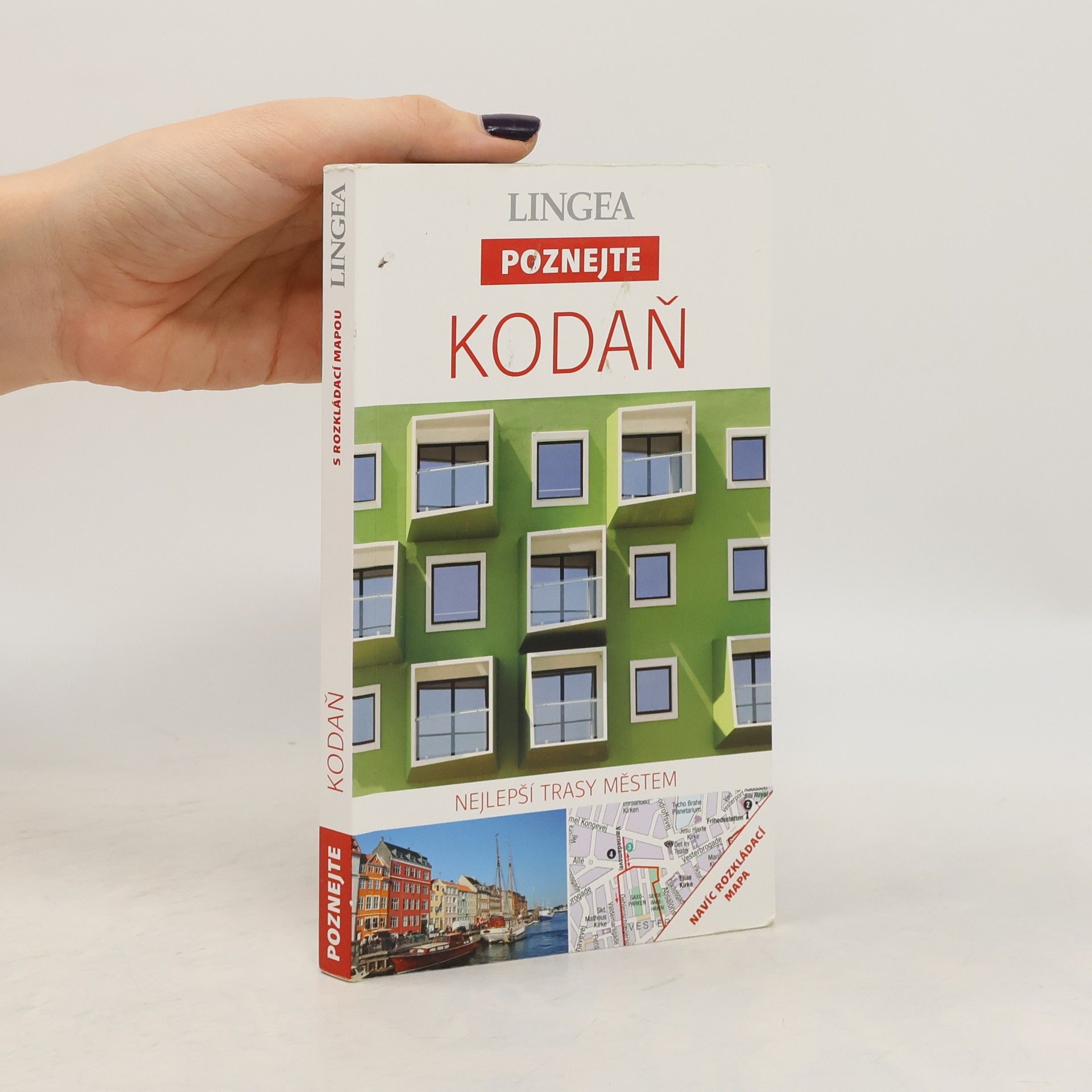 Kolektív autorov Kodaň