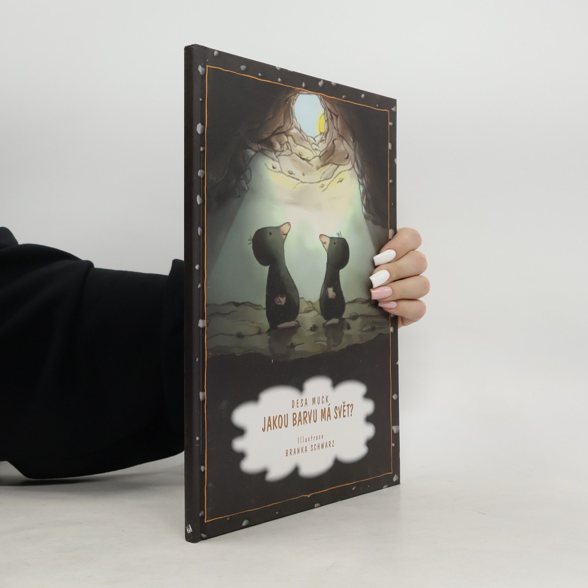 Desa Muck Jakou barvu má svět?