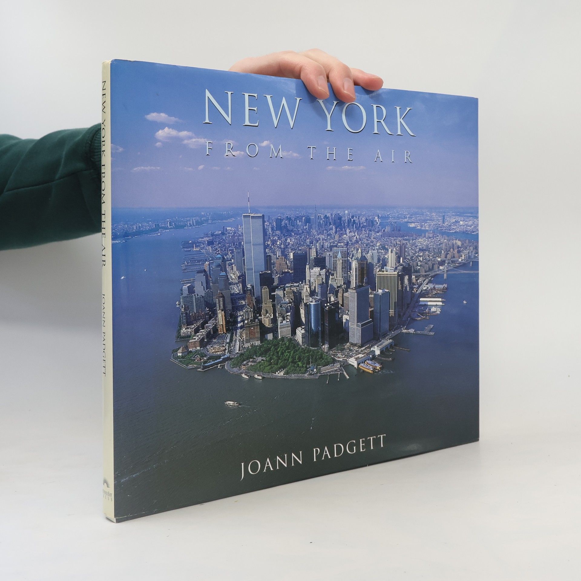 Joann Padgett New York from the Air