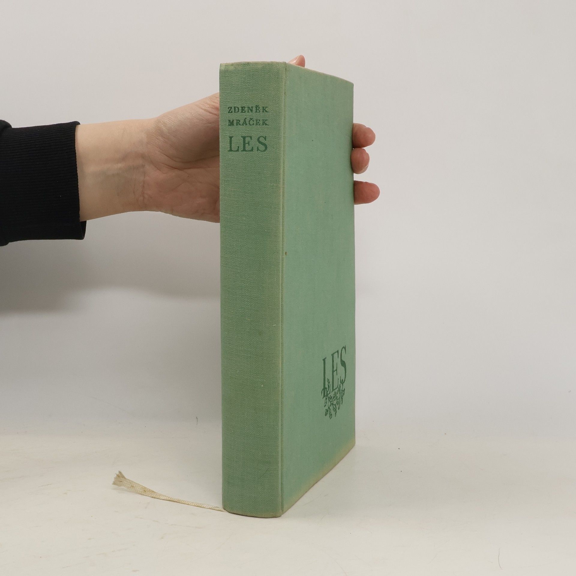 Zdeněk Mráček Les