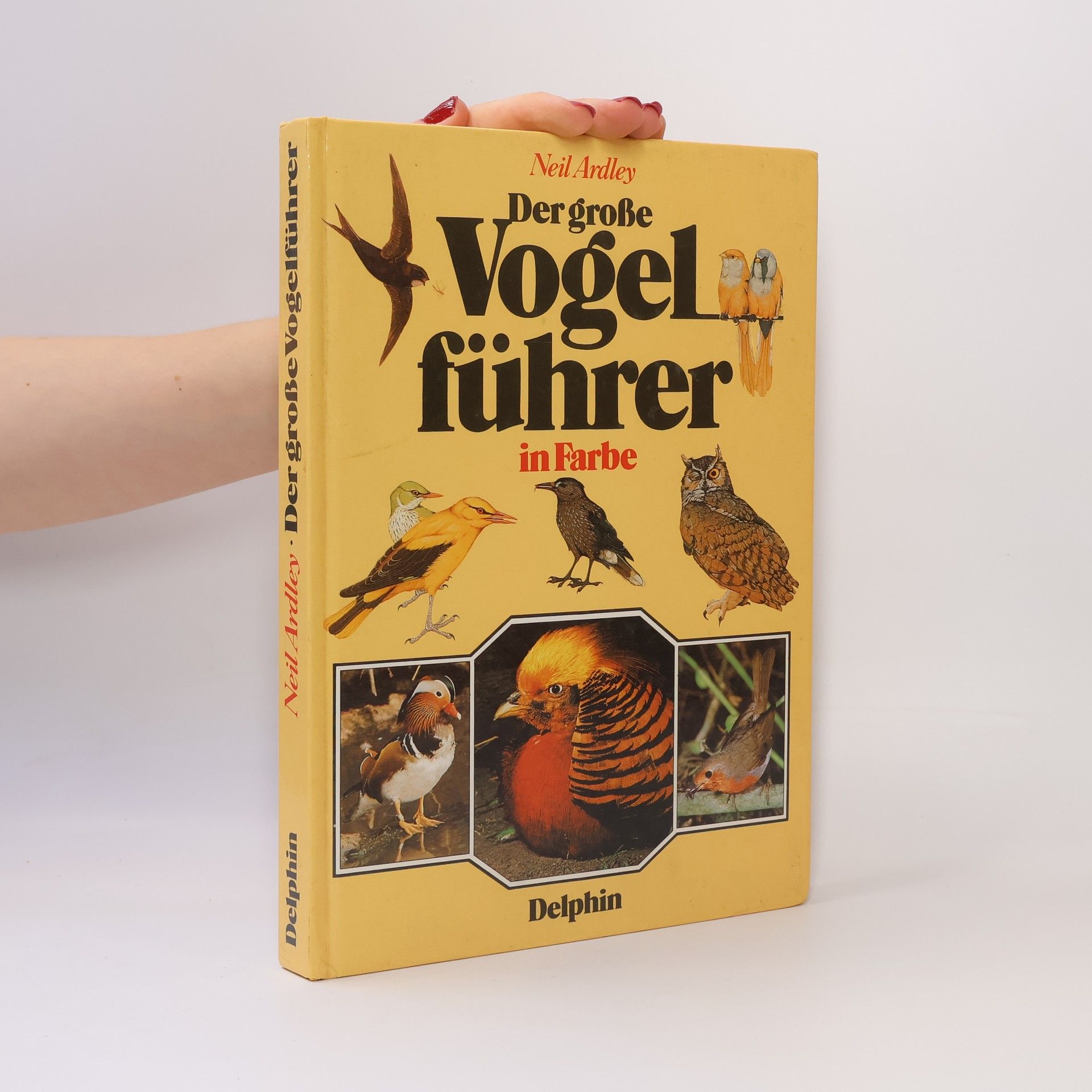 Neil Ardley Der grosse Vogelführer in Farbe