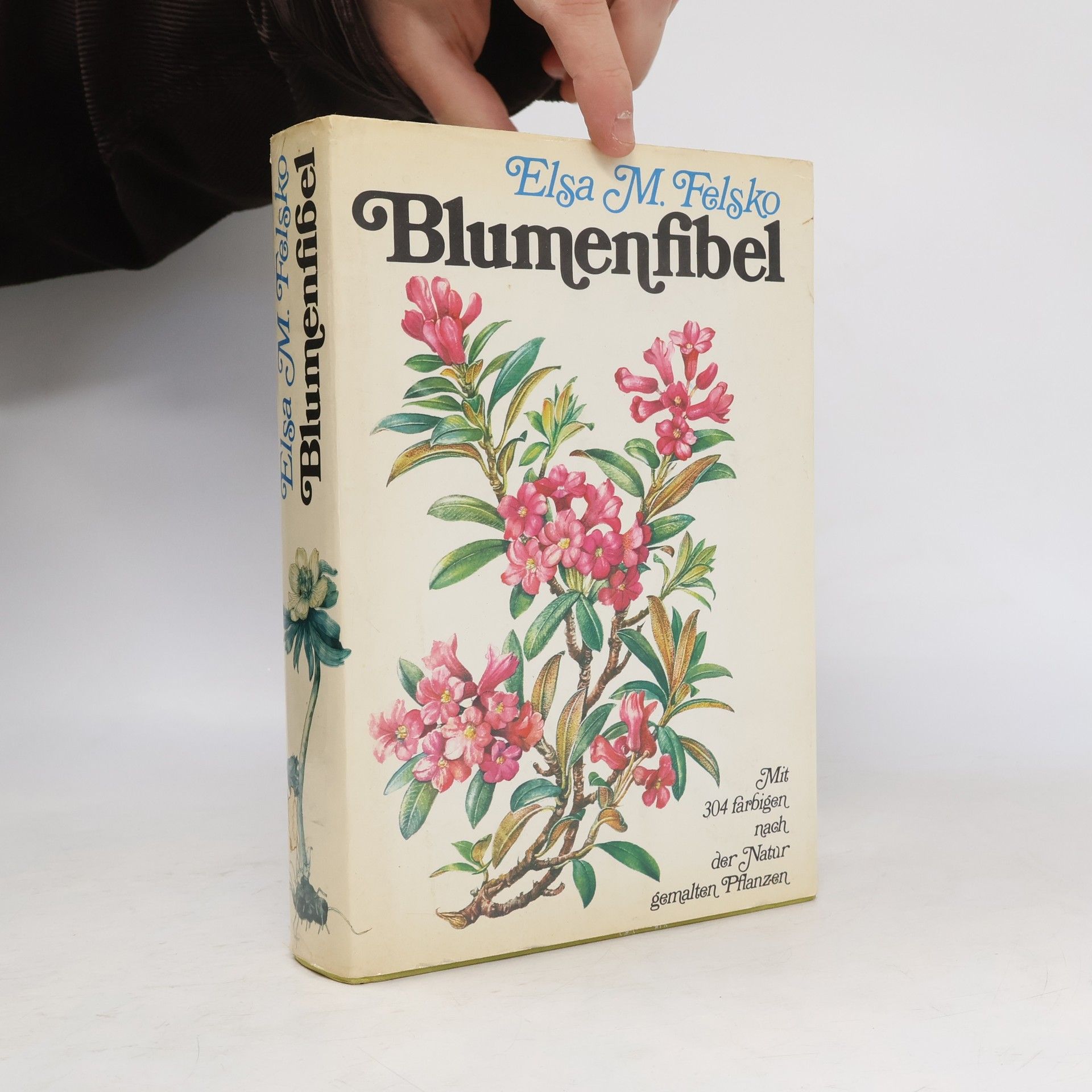 Elsa M. Felsko Blumenfibel