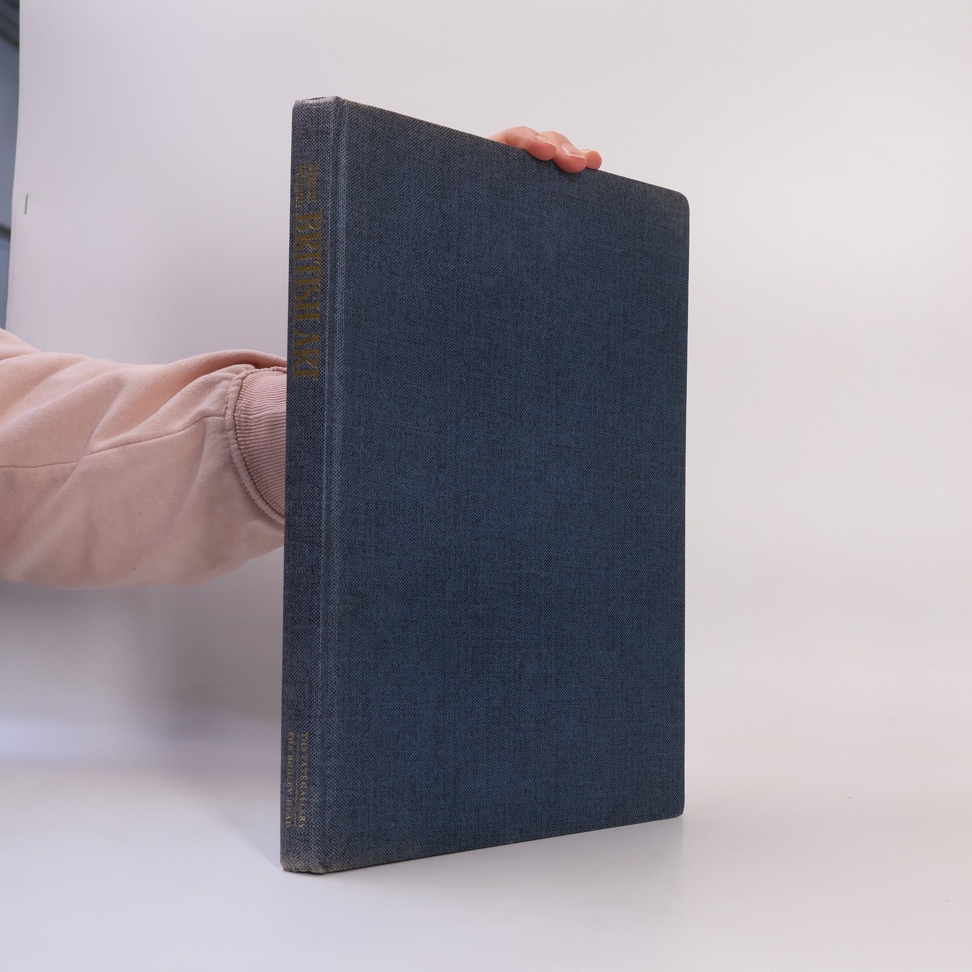 Simon Wilson British Art