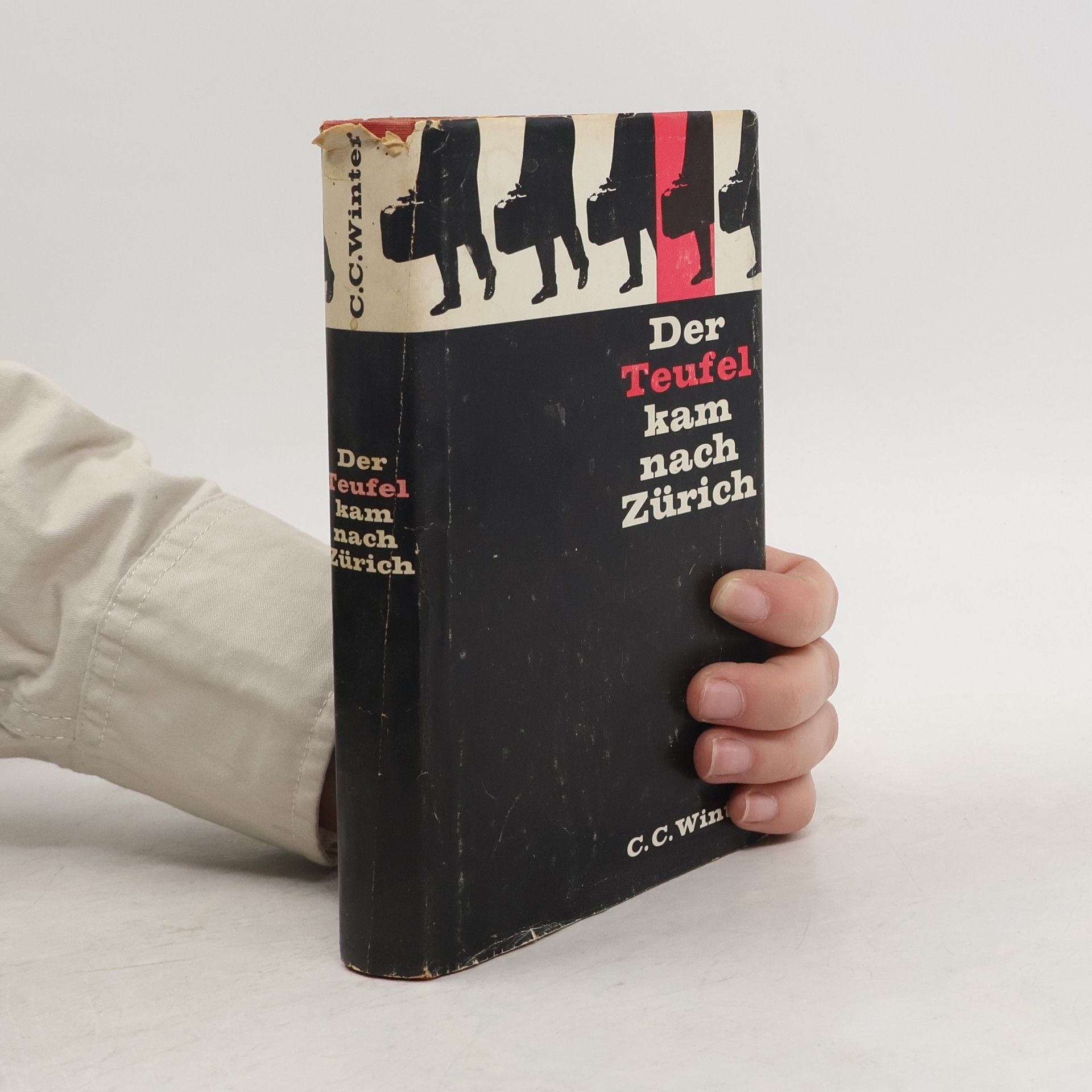 C. C. Winter Der Teufel kam nach Zürich