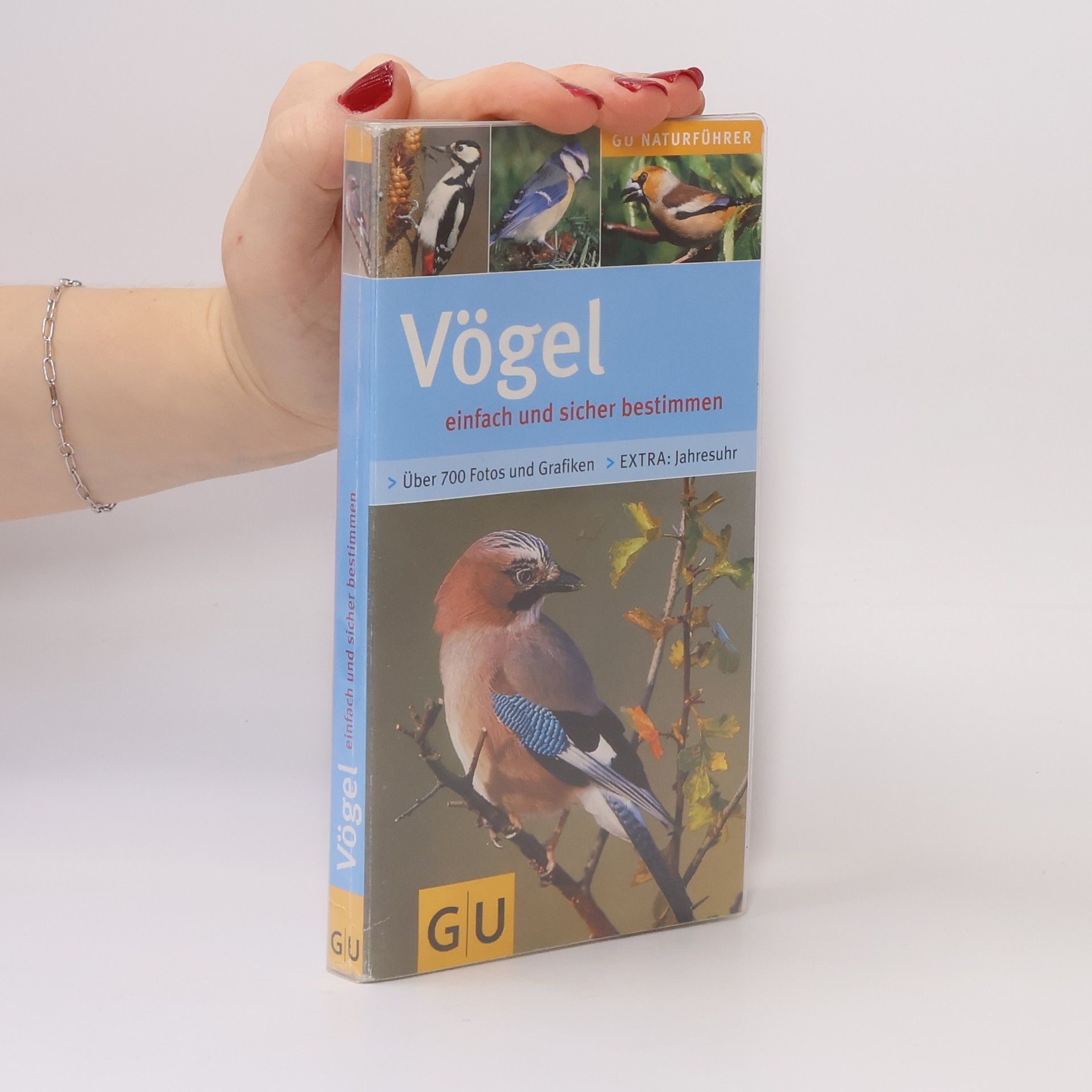 Helga Hofmann Vögel einfach und sicher bestimmen