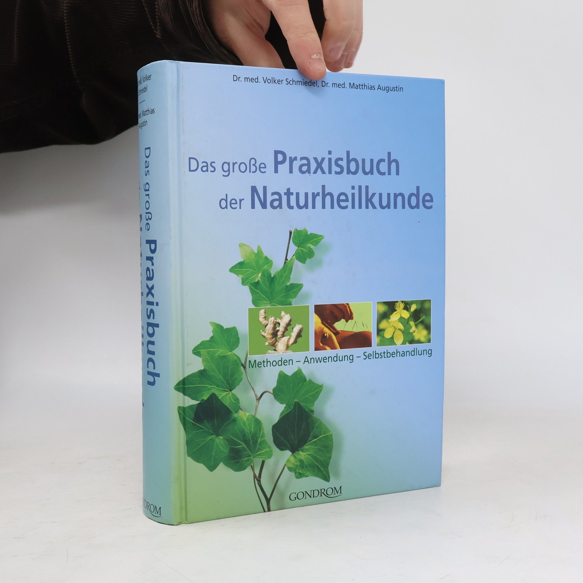 Volker Schmiedel Das große Praxisbuch der Naturheilkunde