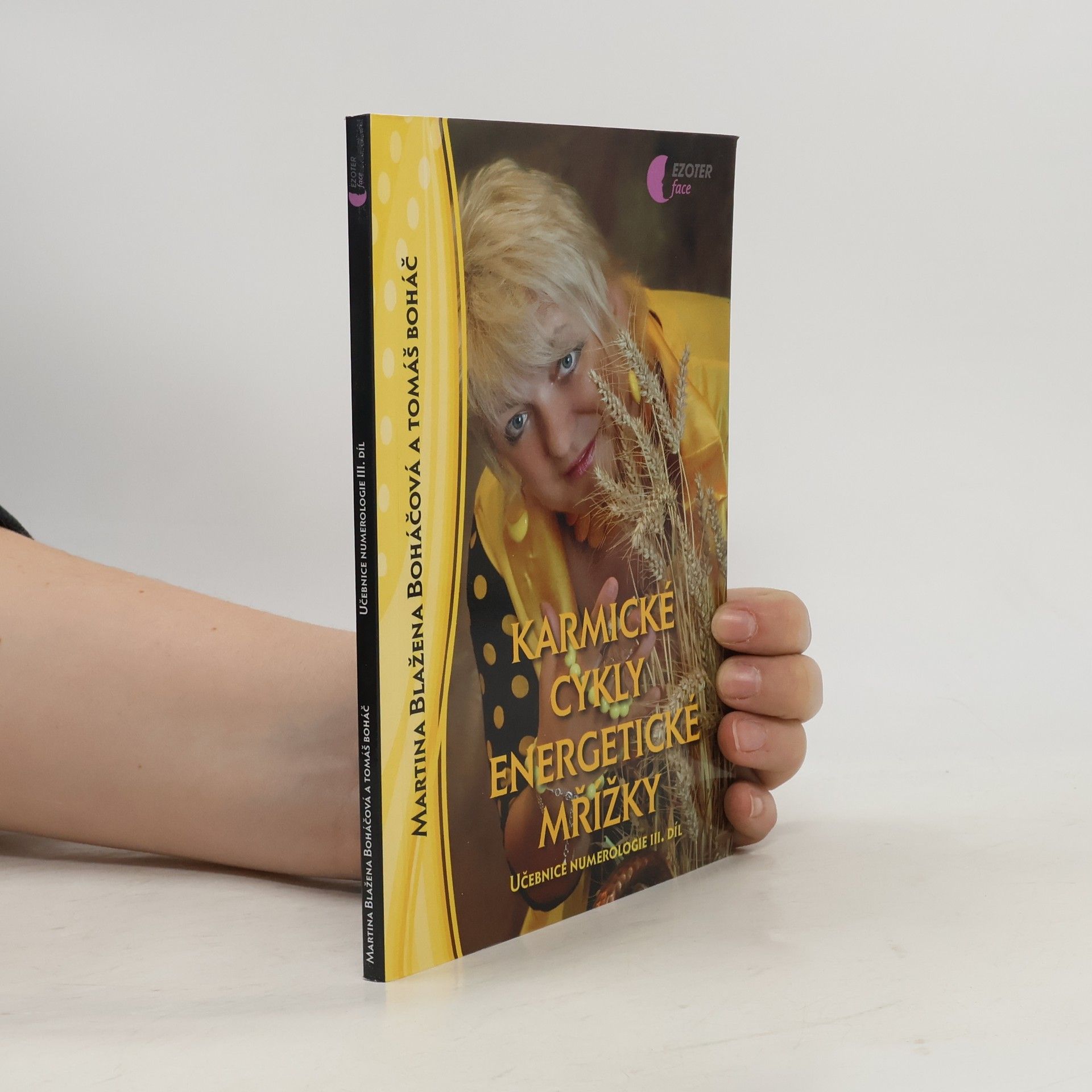 Martina Blažena Boháčová Učebnice numerologie. 3. díl, Karmické cykly energetické mřížky