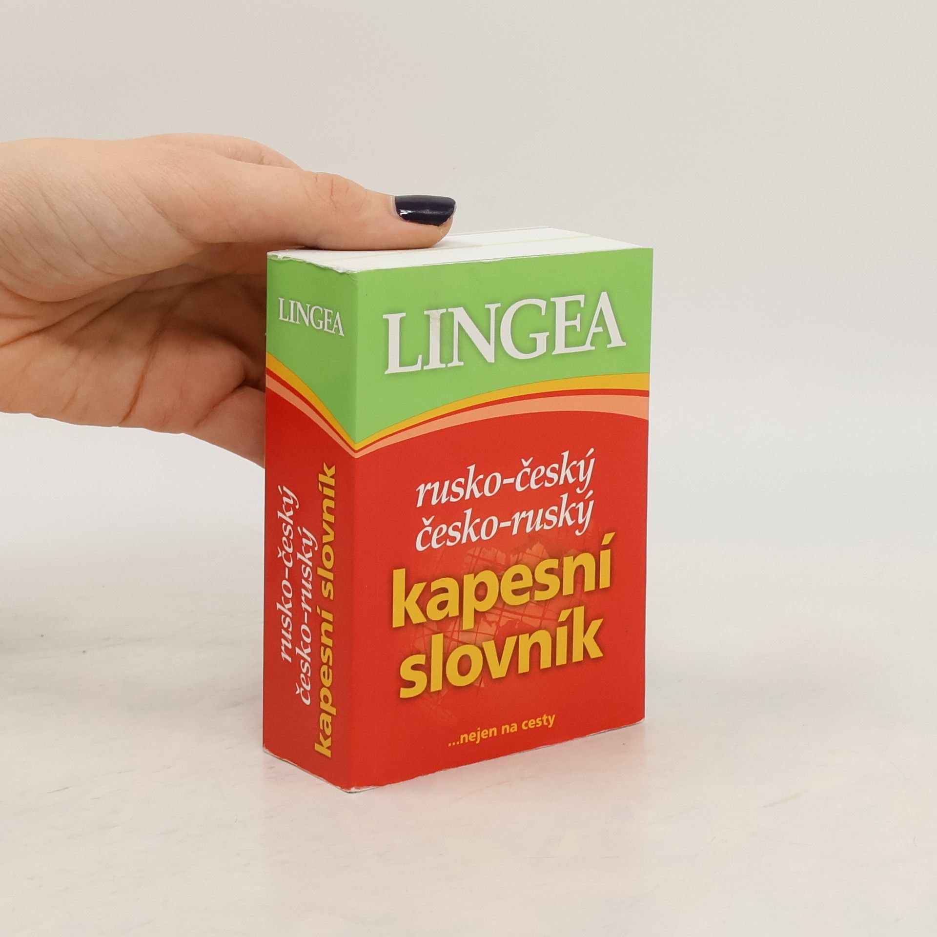 Autorenkollektiv Rusko-český, česko-ruský kapesní slovník ...nejen na cesty