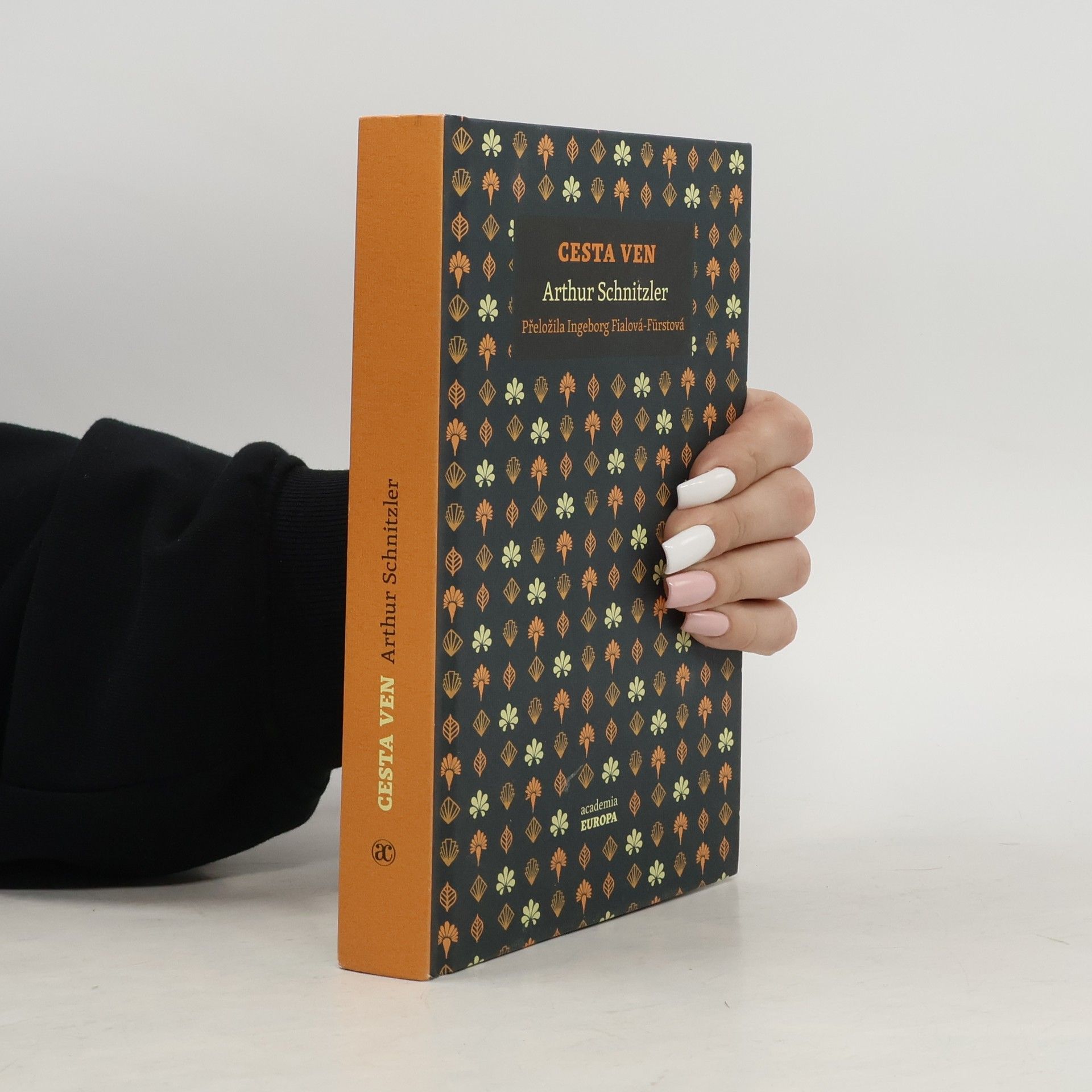 Arthur Schnitzler Cesta ven