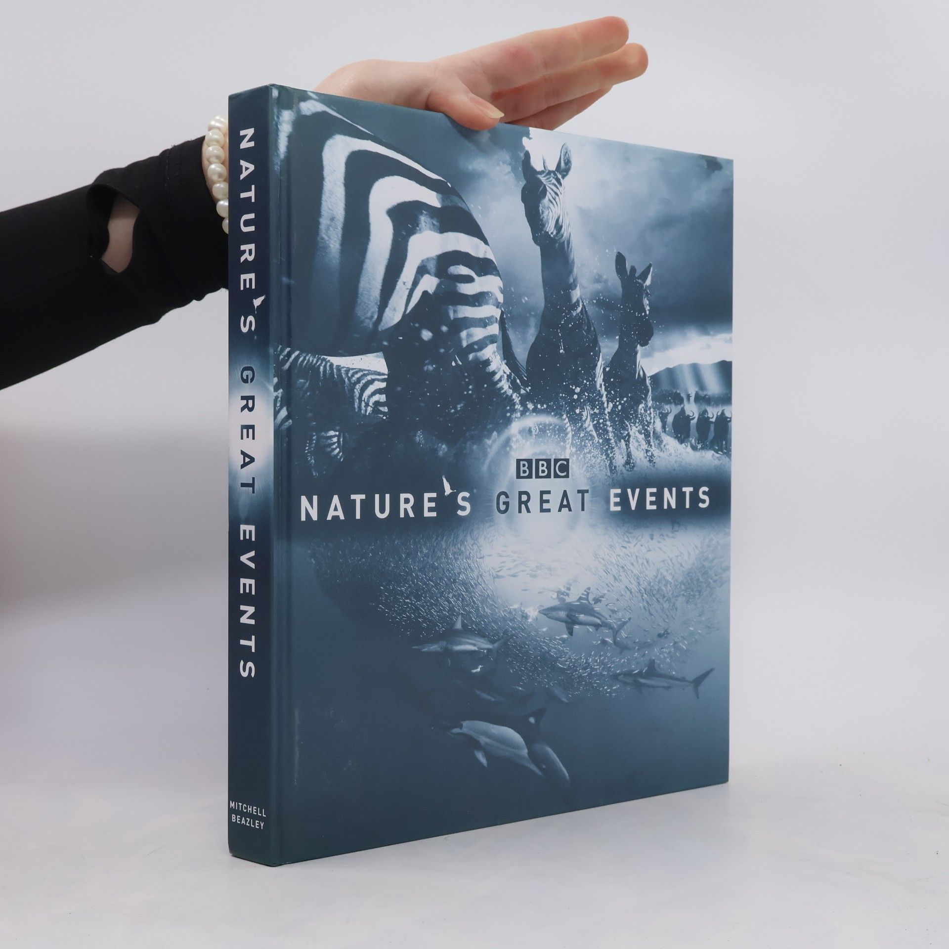 Karen Bass Nature's Great Events