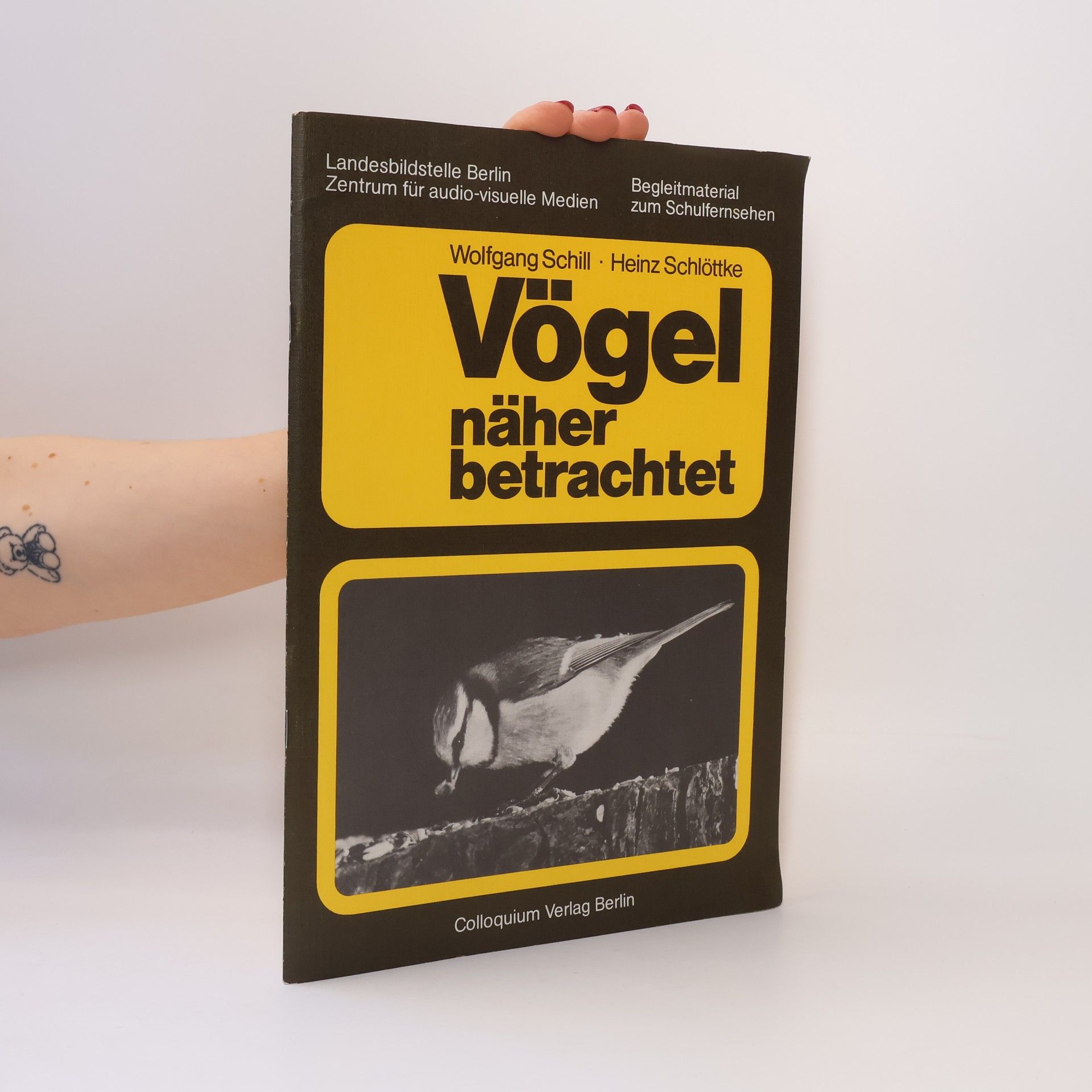 Wolfgang Schill Vögel näher betrachtet