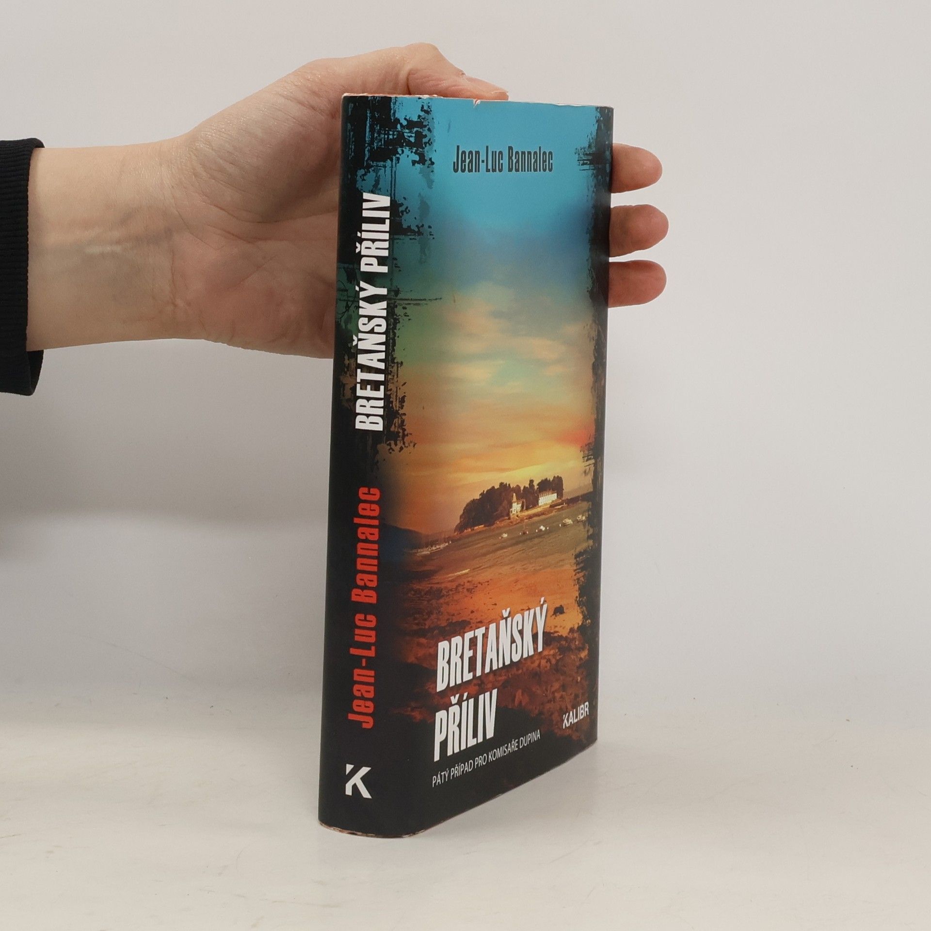 Jörg Bong Bretaňský příliv