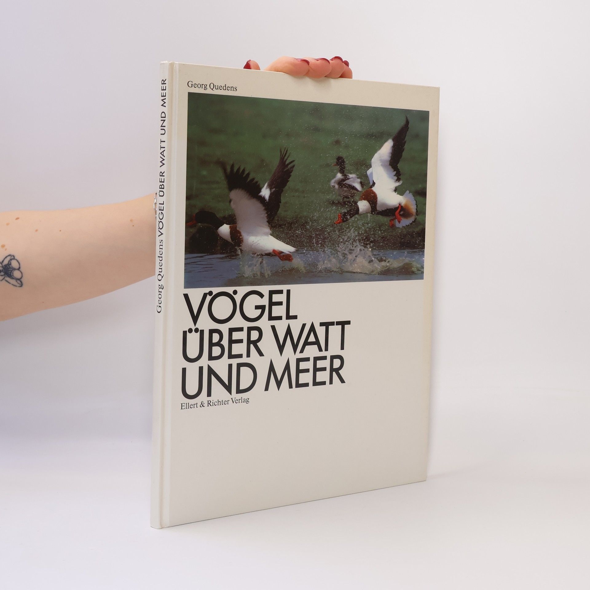 Georg Quedens Vögel über Watt und Meer