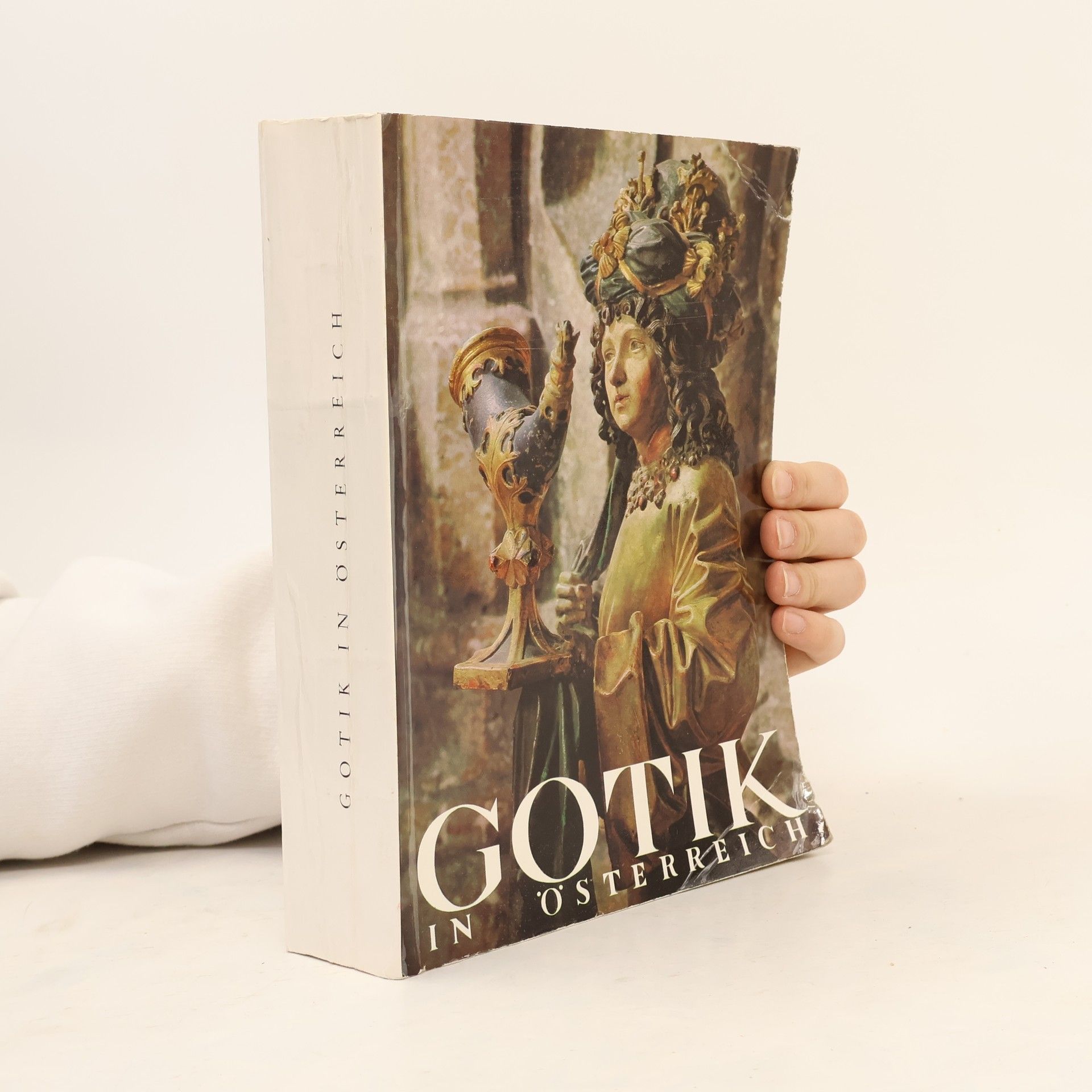 Kolektív autorov Gotik in Österreich