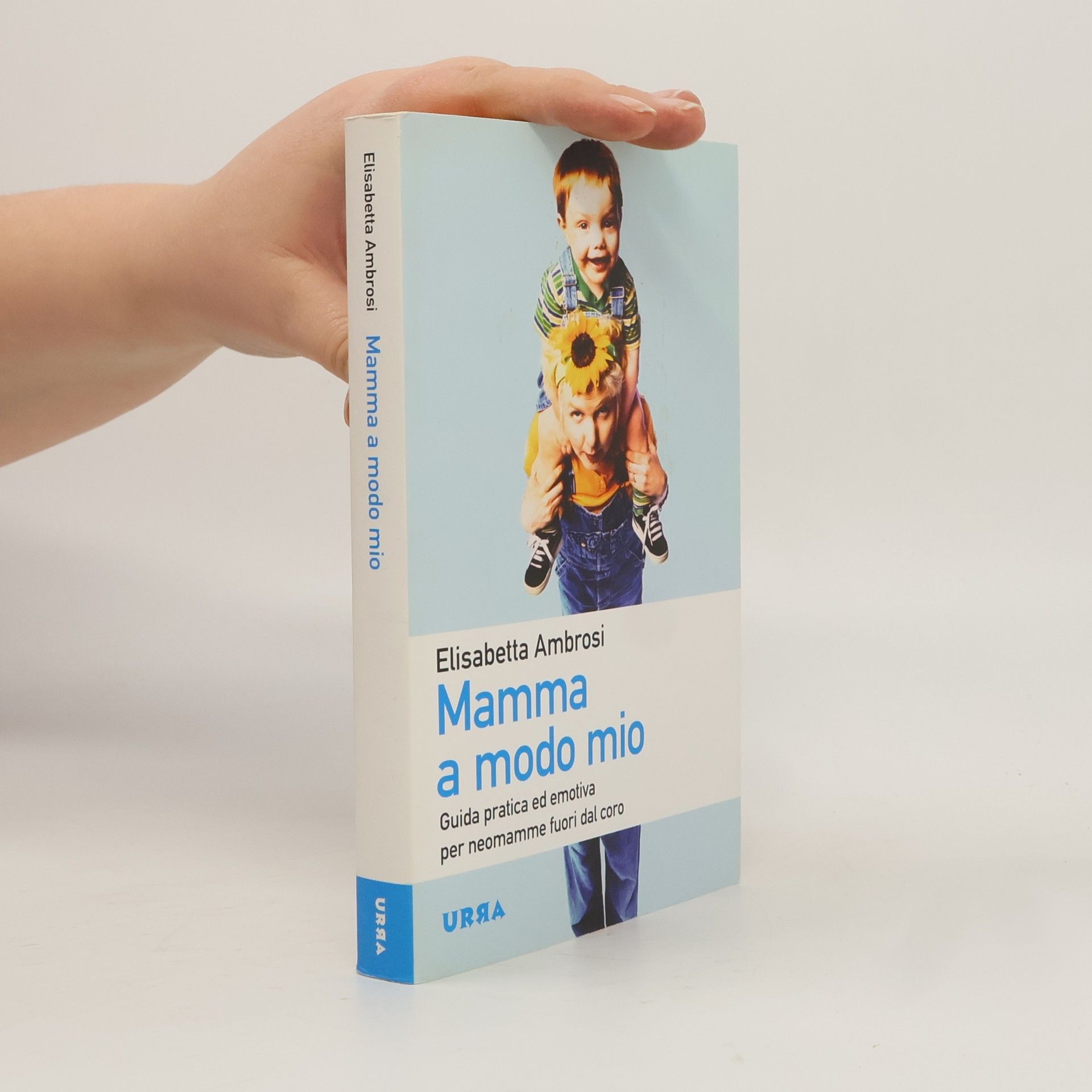 Elisabetta Ambrosi Mamma a modo mio. Guida pratica ed emotiva per neomamme fuori dal coro