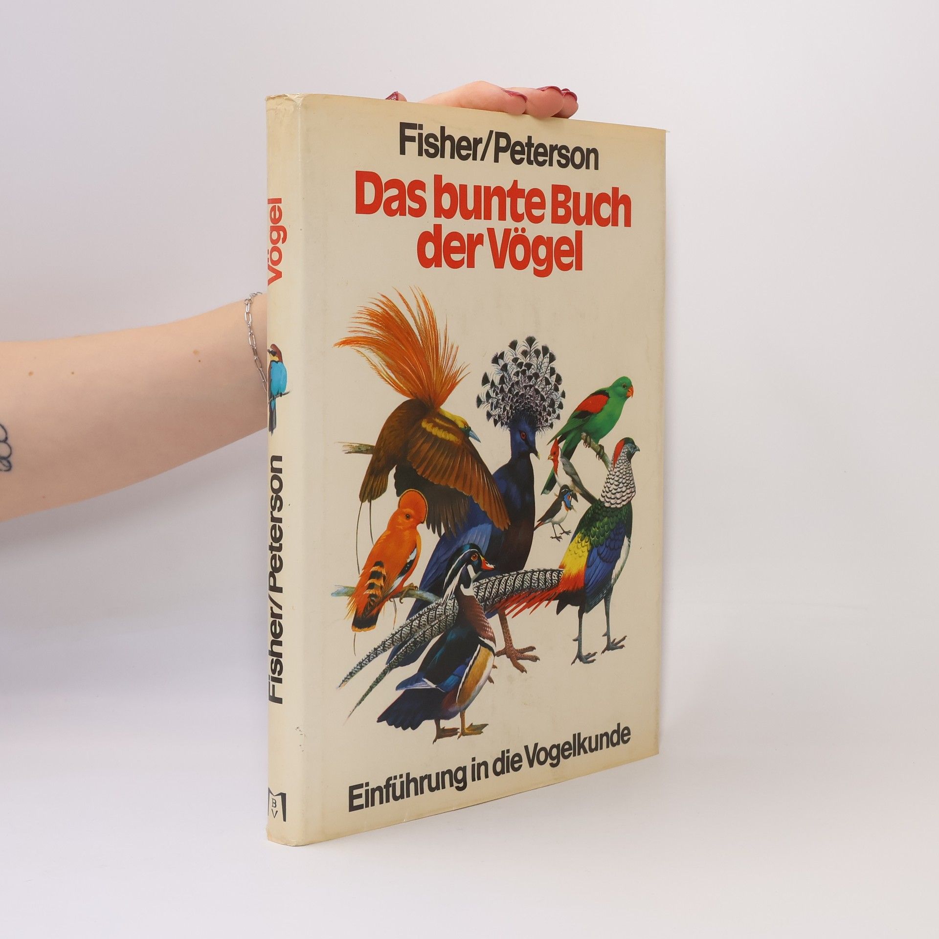 AA.VV. Das bunte Buch der Vögel