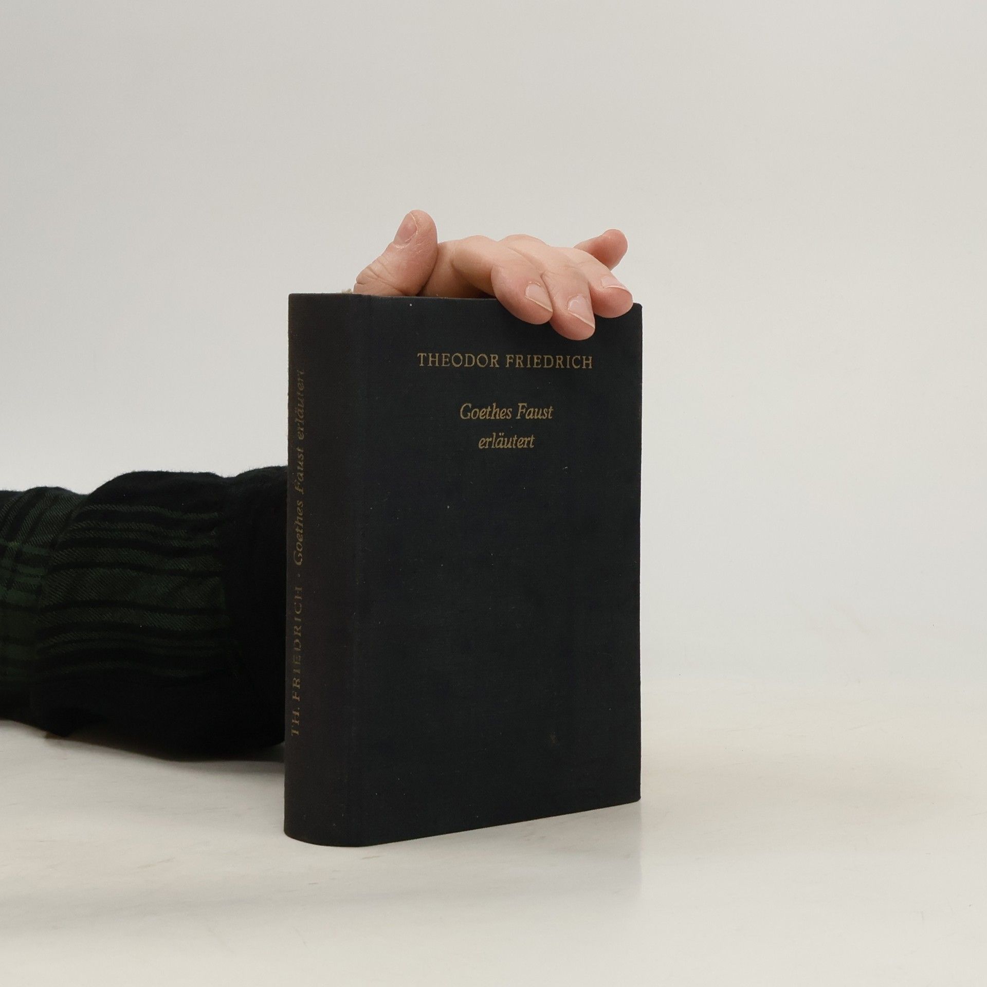 Theodor Friedrich Goethes Faust erläutert